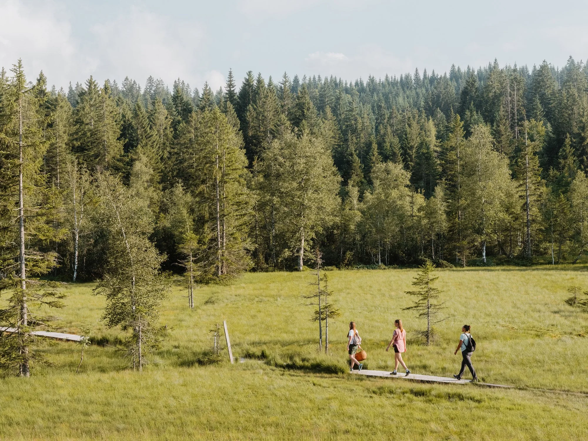 Kräuterwanderung-im-Fohramoos-(c)-Dominic-Kummer---Bregenzerwald-Tourismus.jpg