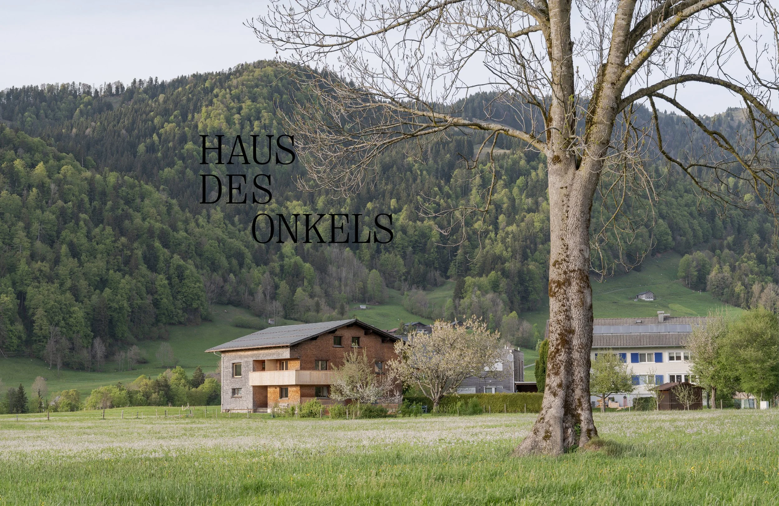 hdo-headerbild-012.jpg