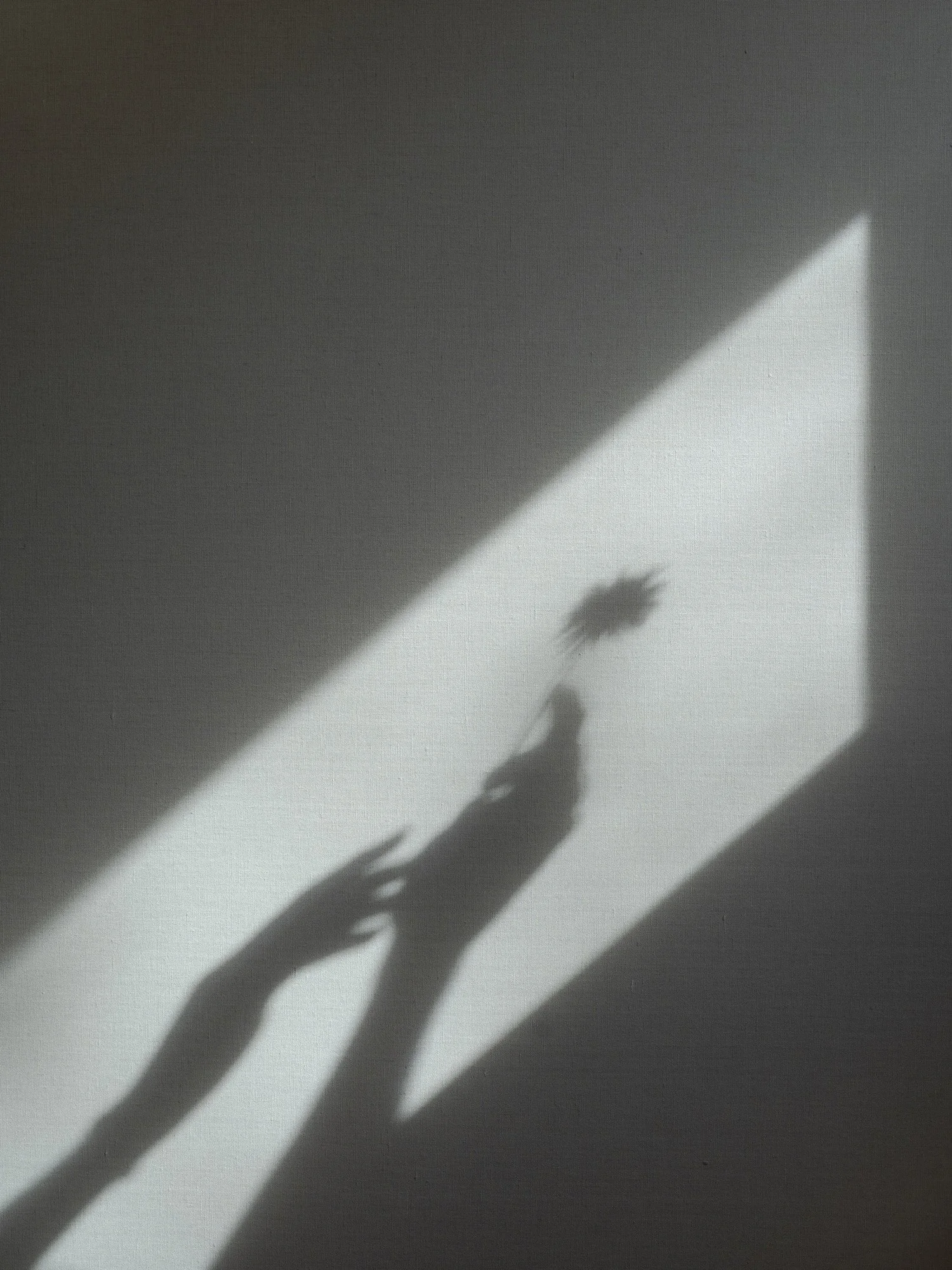 Schatten von einer Pflanze auf einer hellen Wand, durch Sonnenlicht geschaffen.