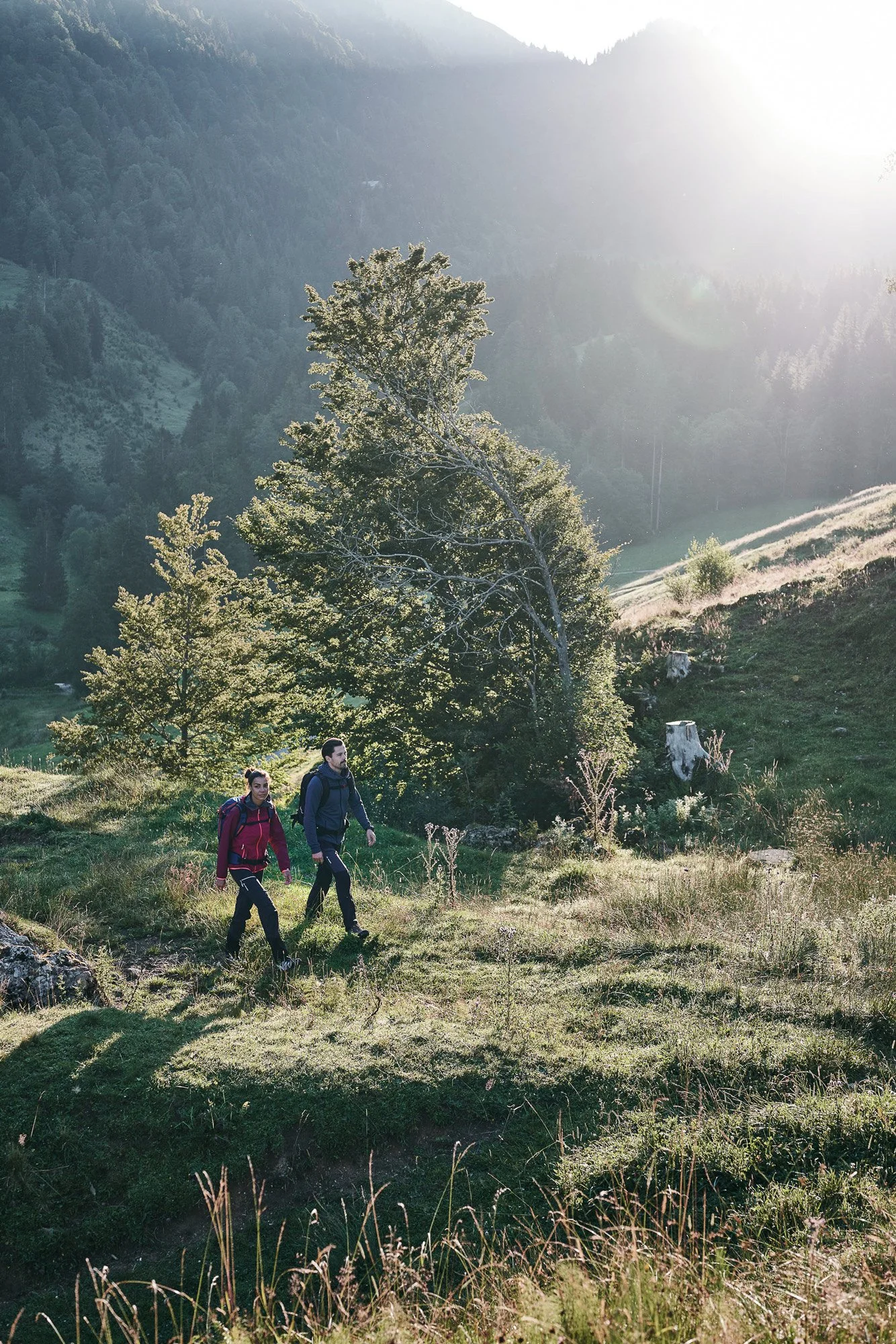 Zwei Wanderer gehen auf einem Waldpfad bei Sonnenaufgang in den Bergen spazieren.