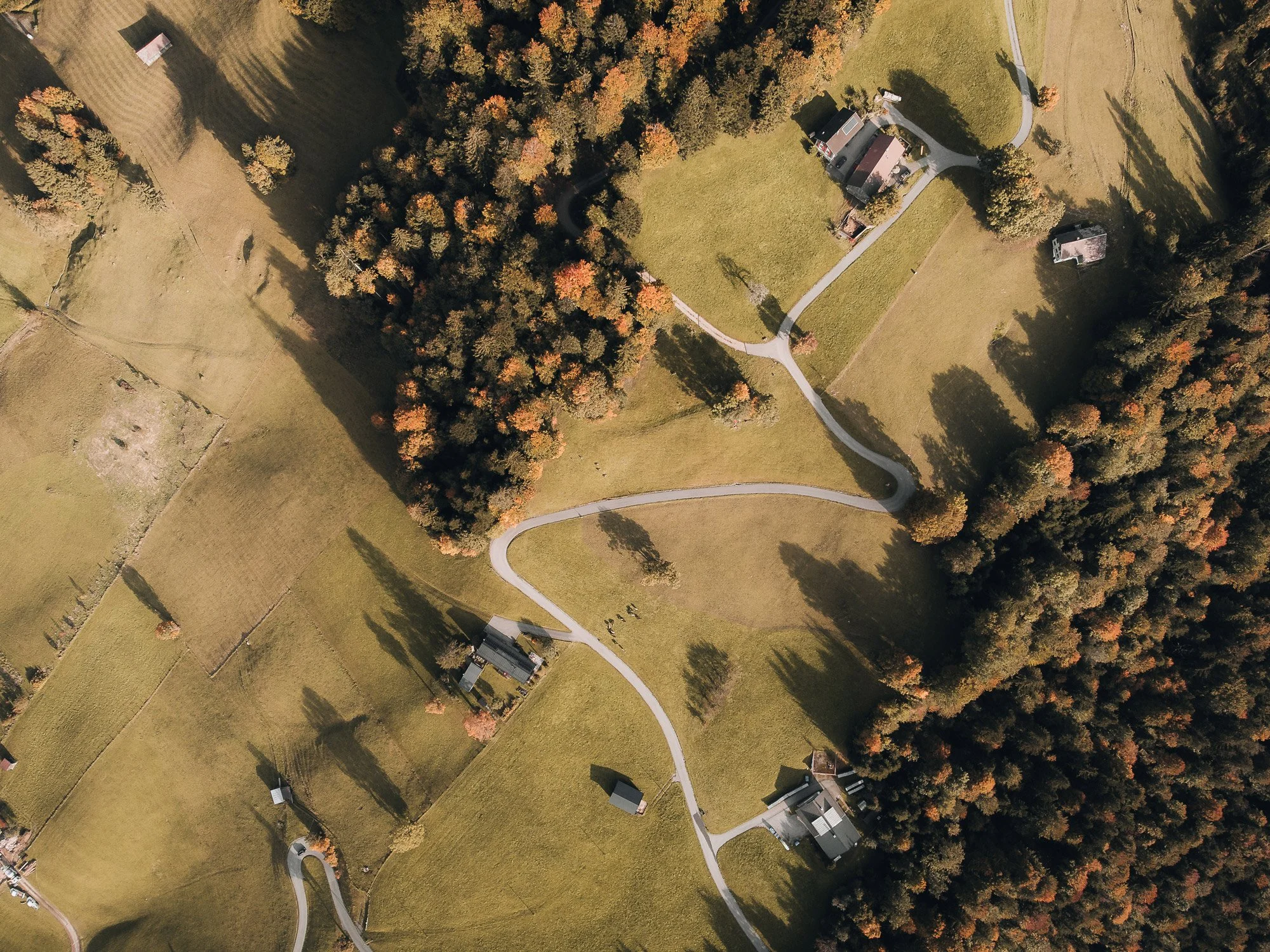 Luftaufnahme eines ländlichen Gebiets mit Wäldern, Häusern und einer gewundenen Straße.