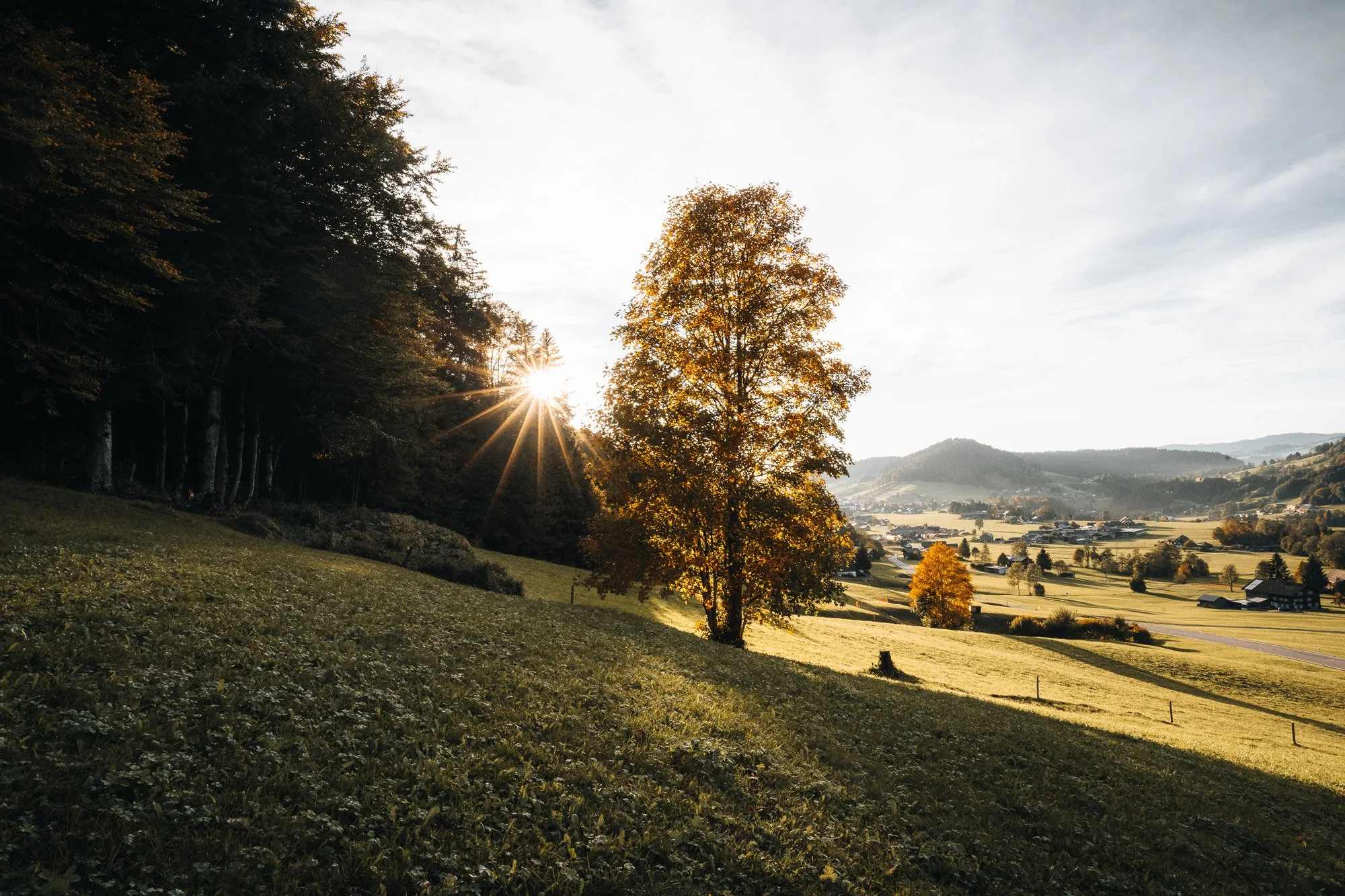 Weg der Sinne – Hittisau