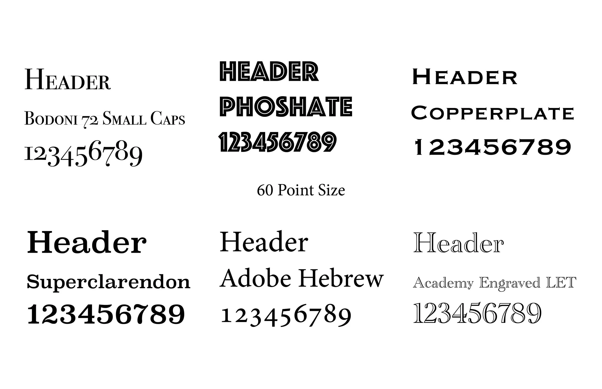 Type Study3.jpg