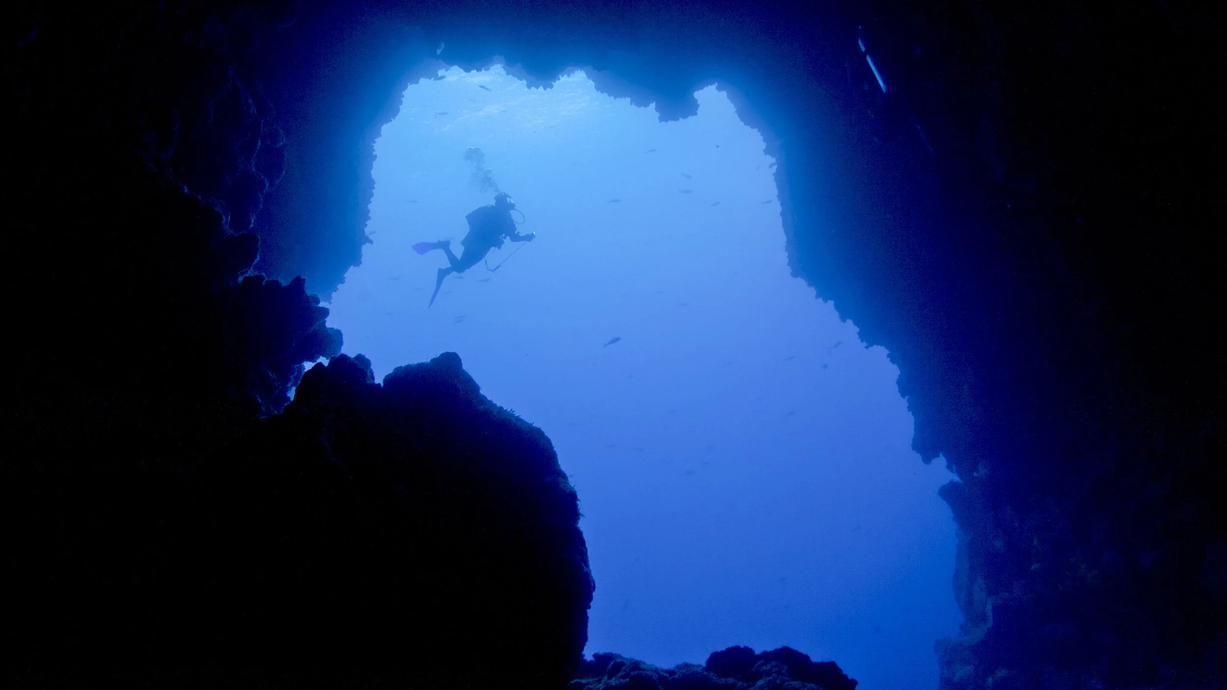 SEGU0339.jpg