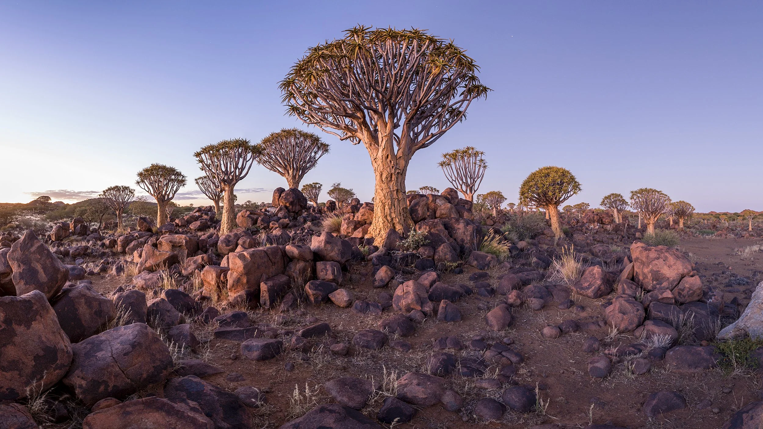 KALAHARI DREAMING | SOUTH AFRICAN LANDS