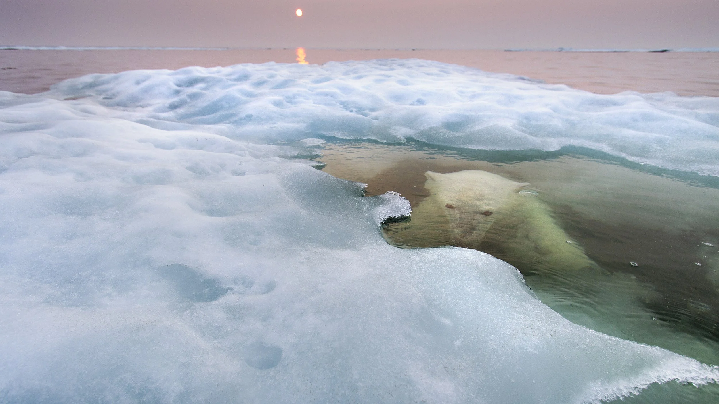 ARCTIC SOLITAIRE | HUDSON BAY