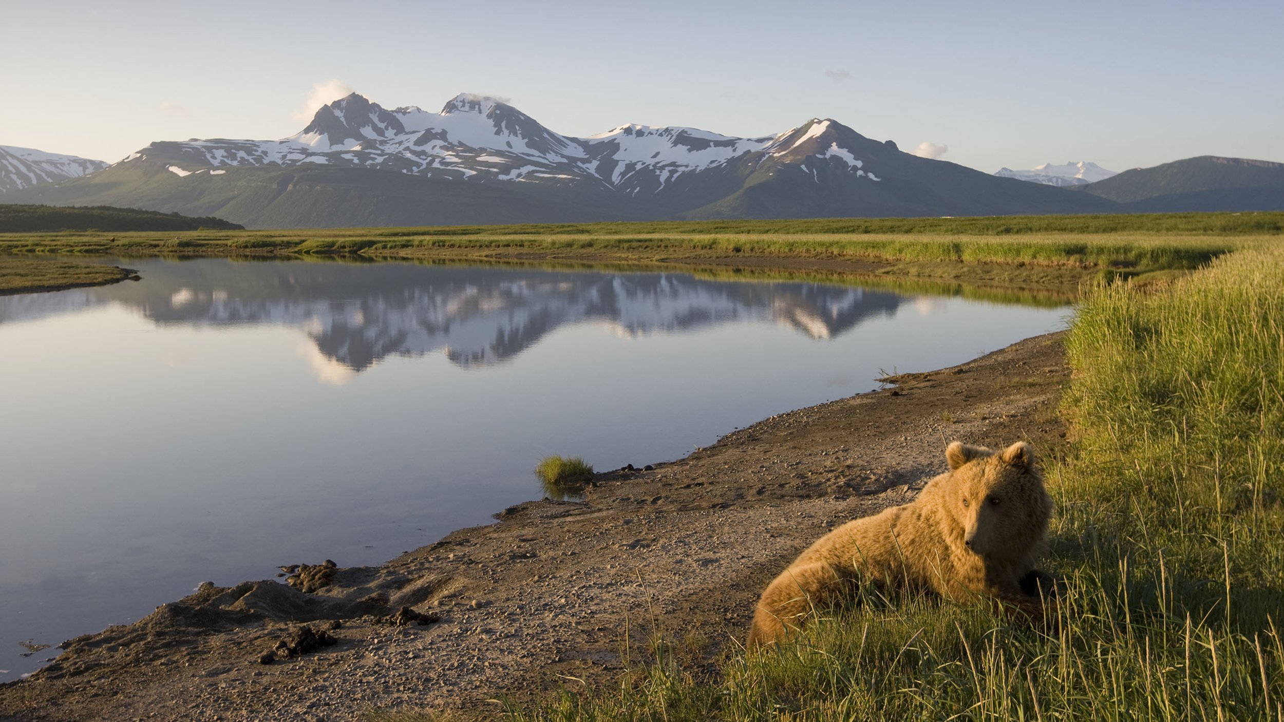 King of the Katmai Coast