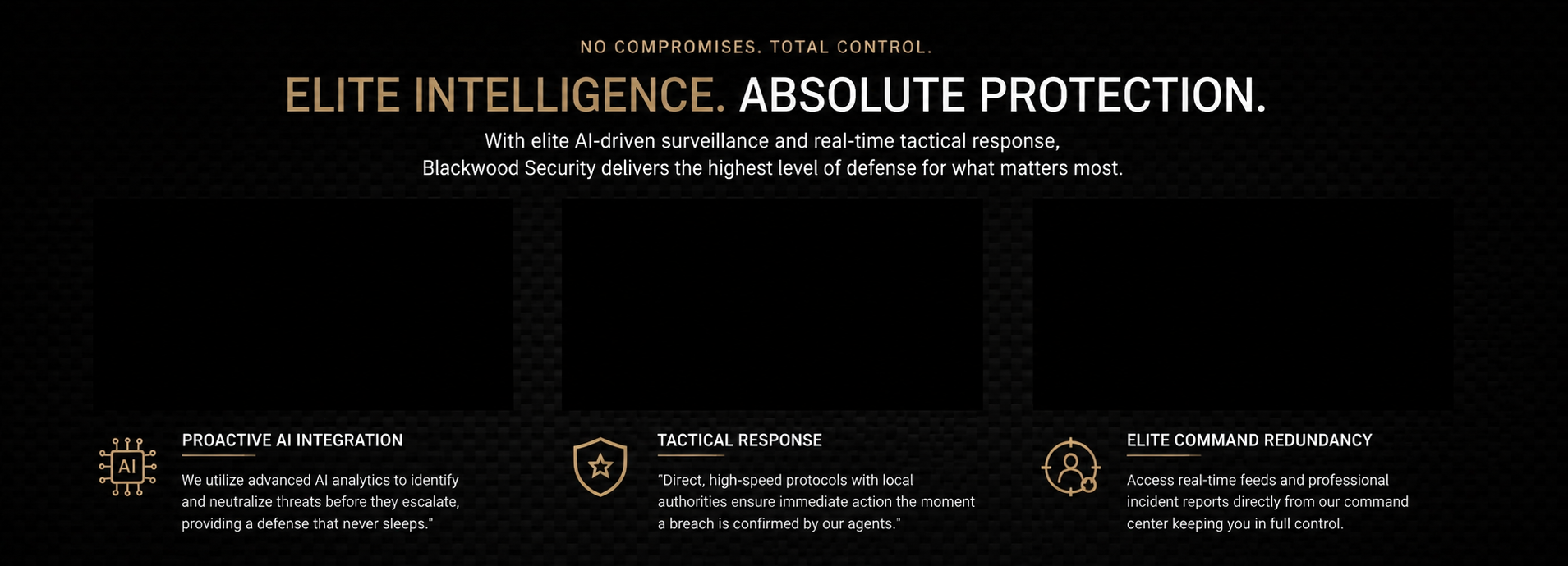 Blackwood Security website banner promoting elite AI-driven surveillance and tactical response with three sections highlighting proactive AI integration, tactical response, and command redundancy.