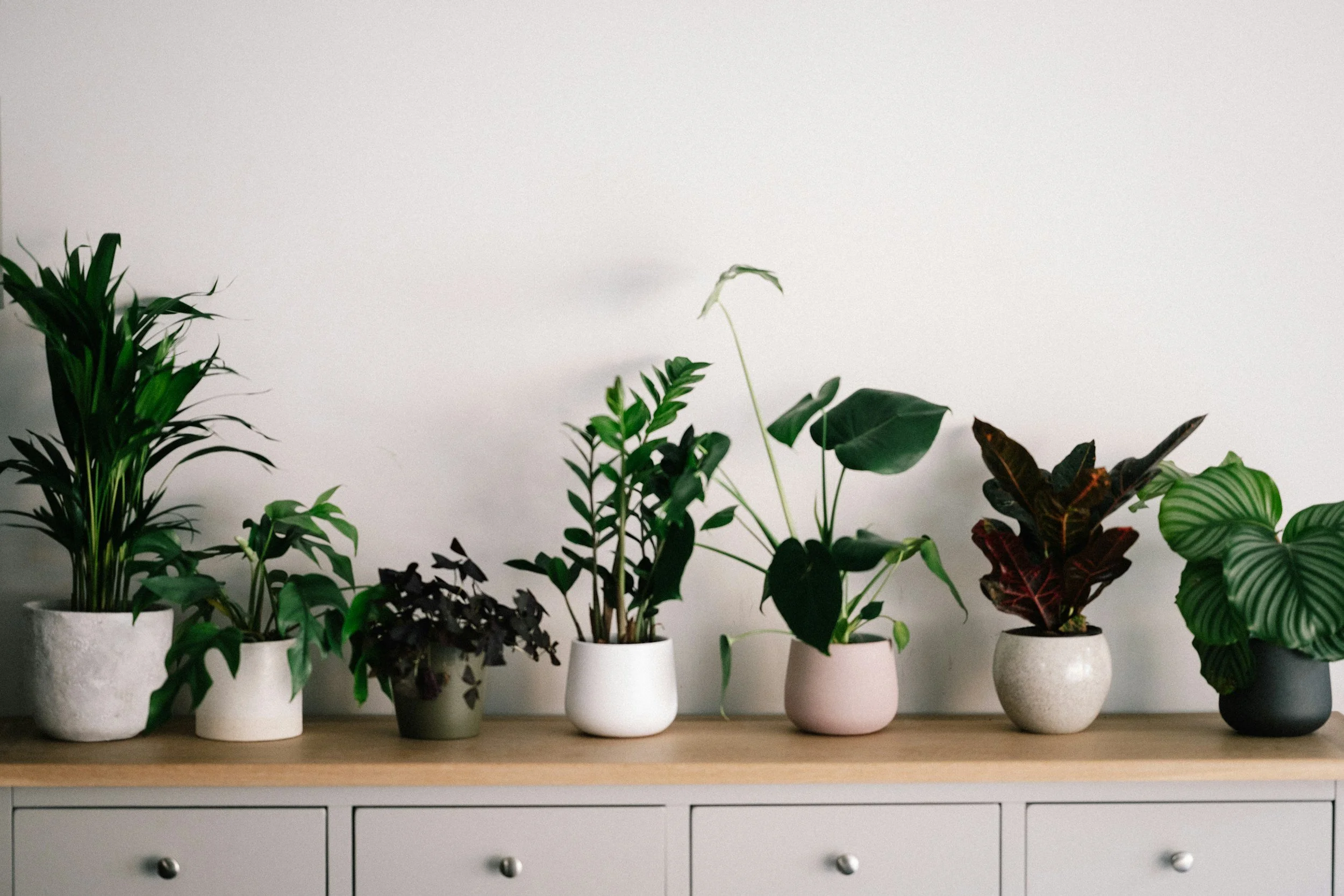 Environment