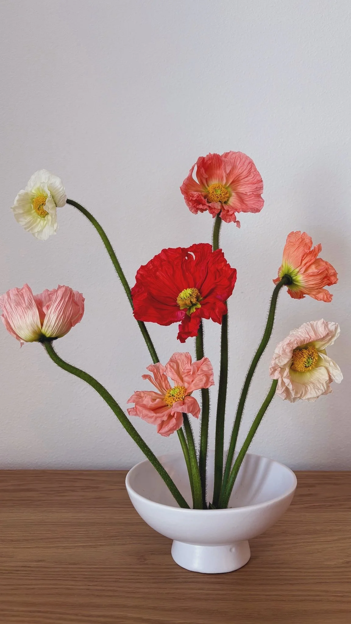 A white vase with pink and white poppy flowers on a wooden table against a plain white wall.