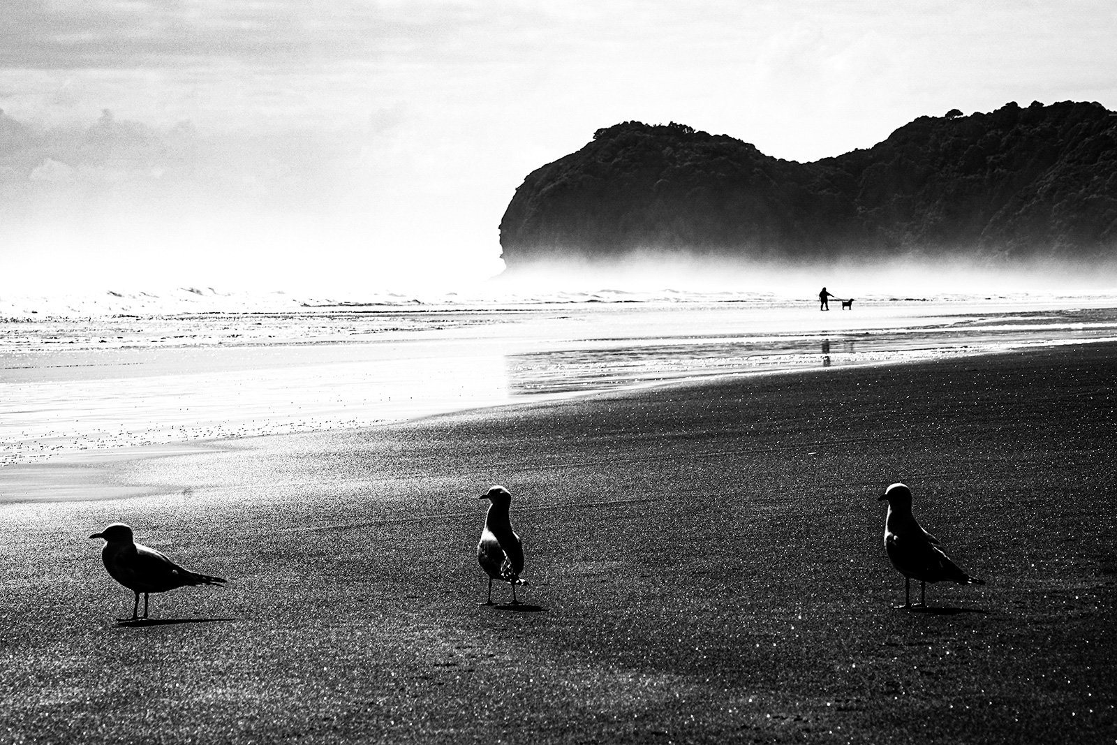 Black and white photo of a beach with three seagulls in the foreground, a person walking a dog near the water in the middle ground, and a large rocky hill or island in the background.