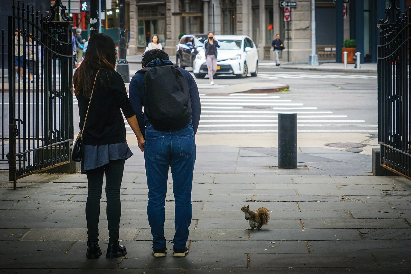 A couple holding hands and walking through a city sidewalk, with a squirrel on the ground nearby and cars and pedestrians crossing the street in the background.