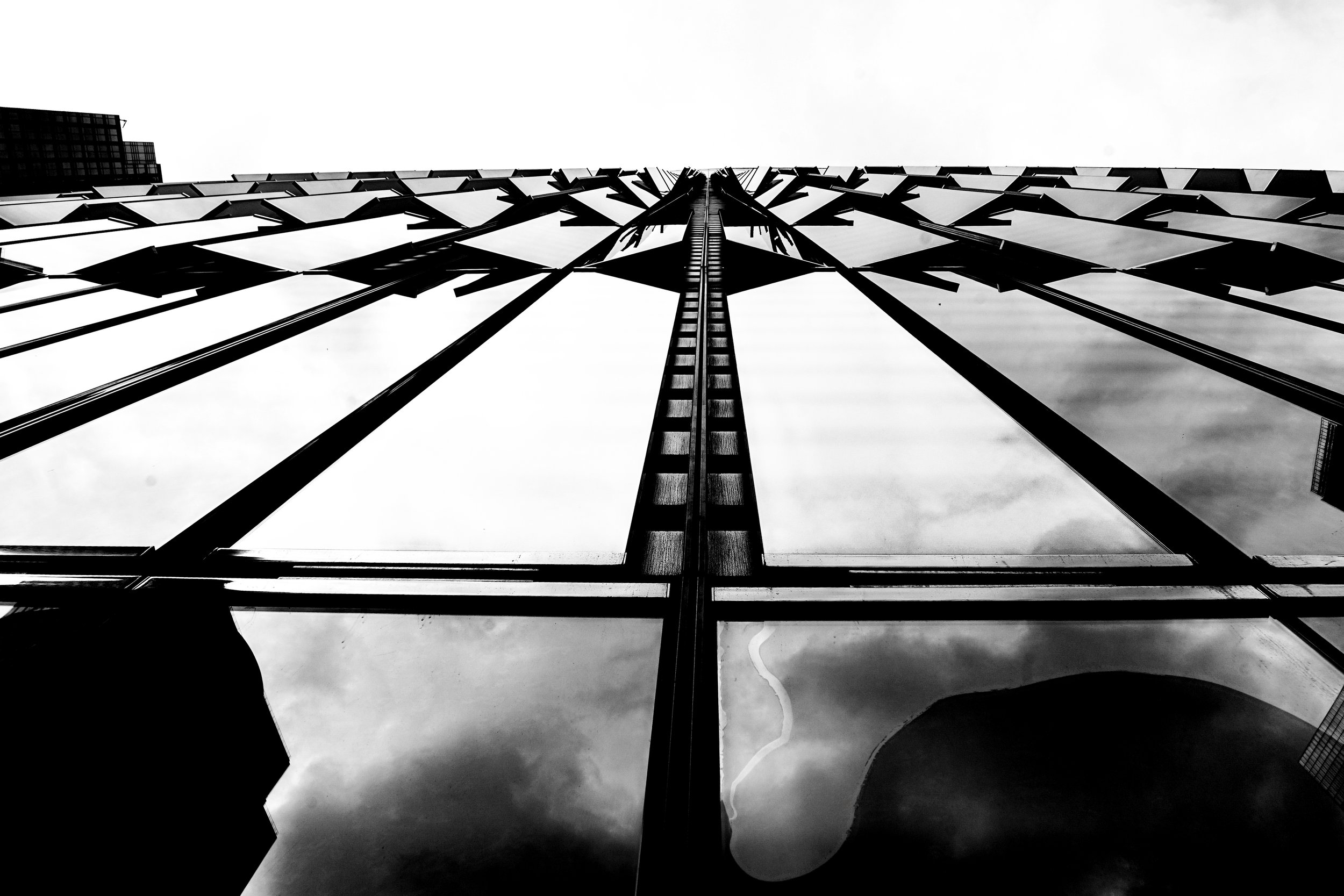 DSC08710-Edit copy.jpg