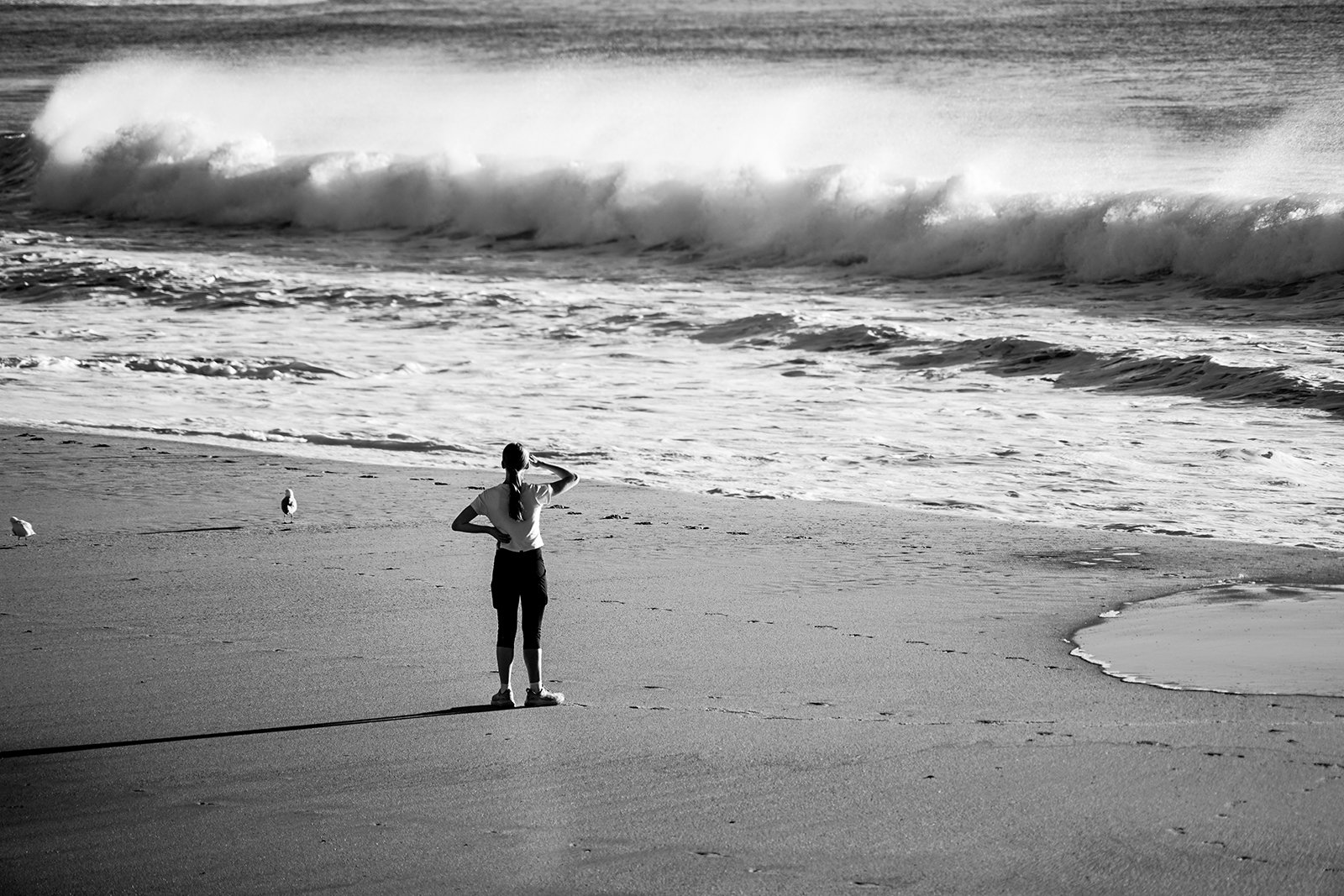 A woman standing on a sandy beach, looking at the ocean waves, with seagulls nearby in black and white.