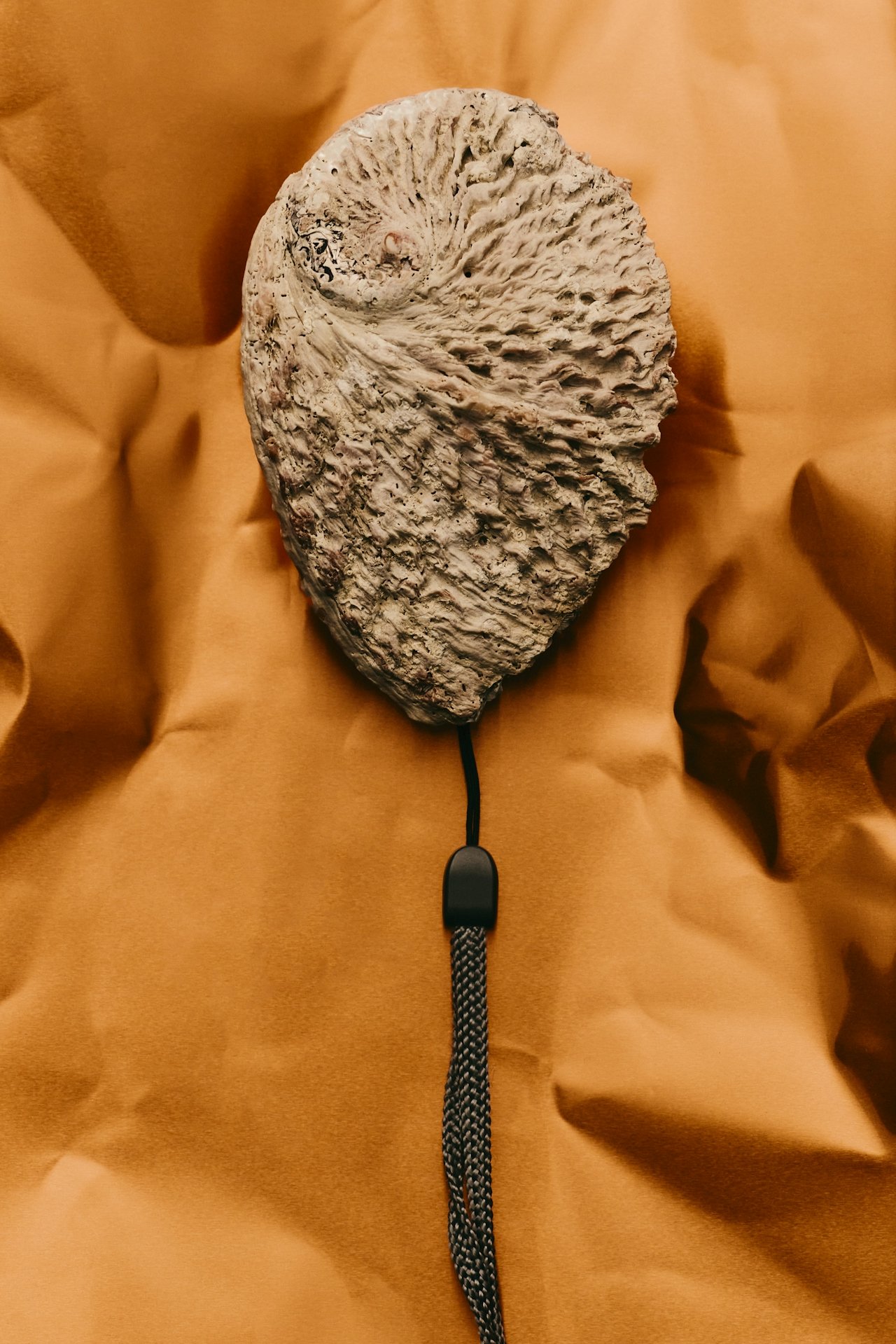 biomimicry