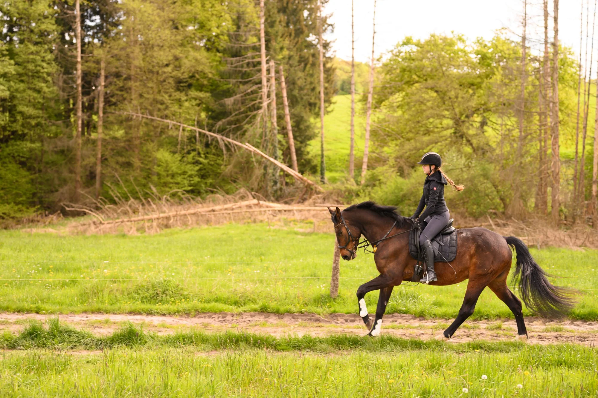 Frau reitet auf einem Pferd auf einer grünen Wiese in einem Waldgebiet.