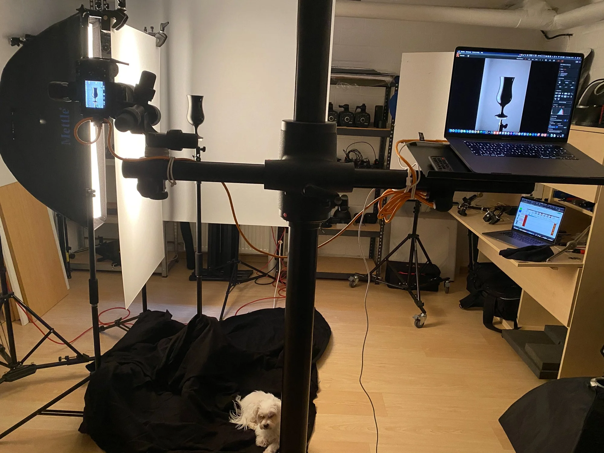Innenaufnahme eines Fotostudios mit Kamera, Beleuchtung und Laptops. Ein kleiner weißer Hund liegt auf einem schwarzen Schlafsack auf dem Boden.