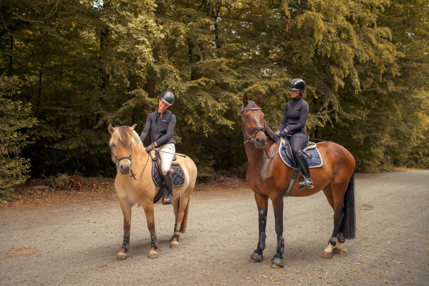 Zwei Frauen, die Reiten im Wald auf Pferden. Eine Frau trägt einen schwarzen Helm und Reithose, die andere einen schwarzen Helm und eine schwarze Jacke. Das Bild wurde in einer Waldumgebung aufgenommen.