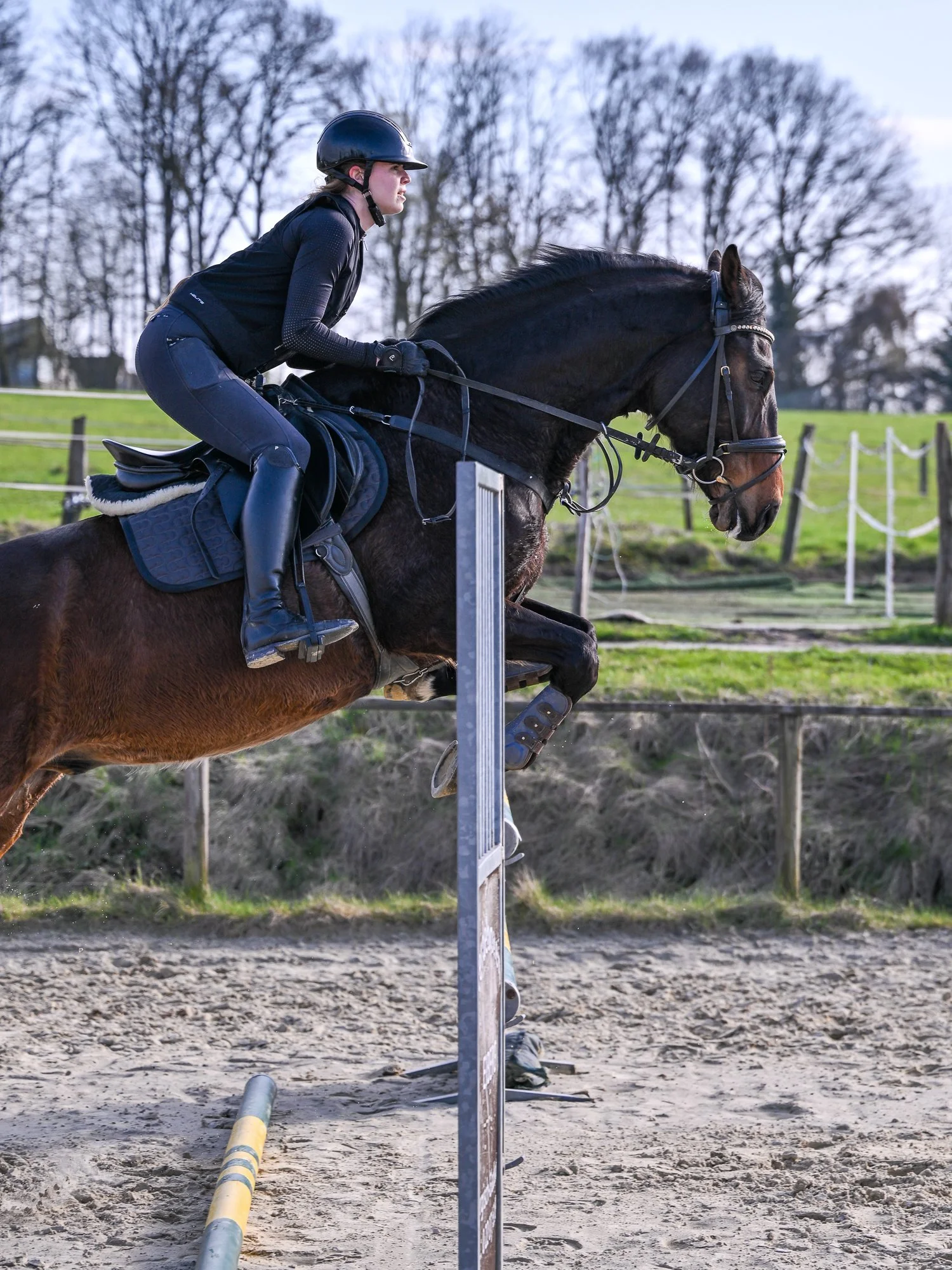 Reiter beim Hindernisreiten, im Freien, im Sattel auf einem braunen Pferd, bei Tageslicht, im Hintergrund Bäume und ein Zaun.