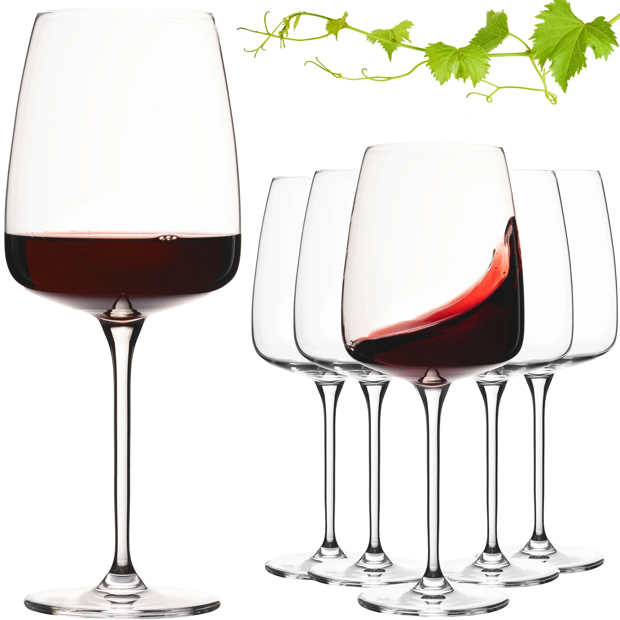 Vier Weingläser, eines halb voll Rotwein, mit einer grünen Weinrebe darüber.