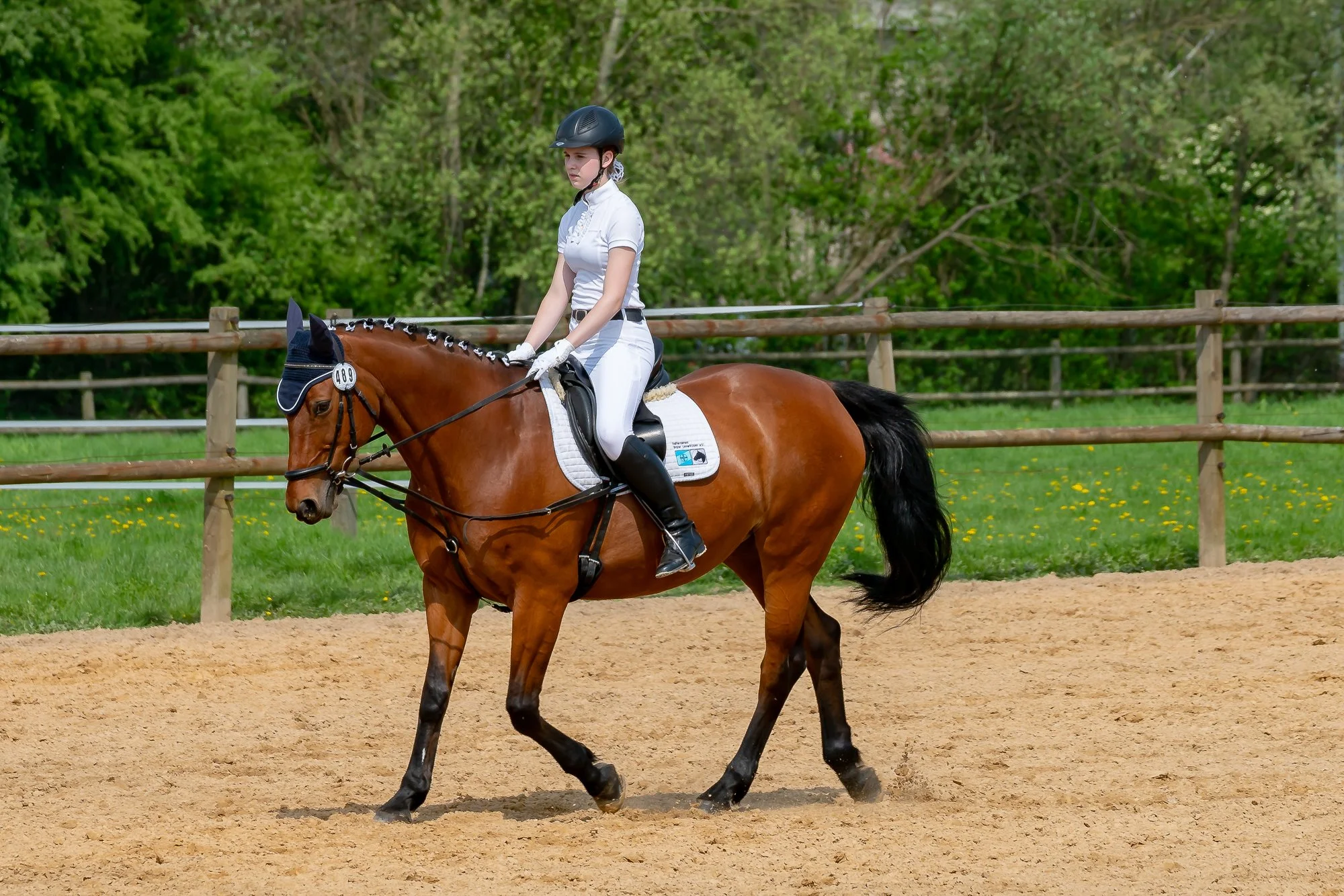 Eine Frau reitet auf einem braunen Pferd in einem Reitstall oder -platz, umgeben von grünem Laub und einem Holzzaun.