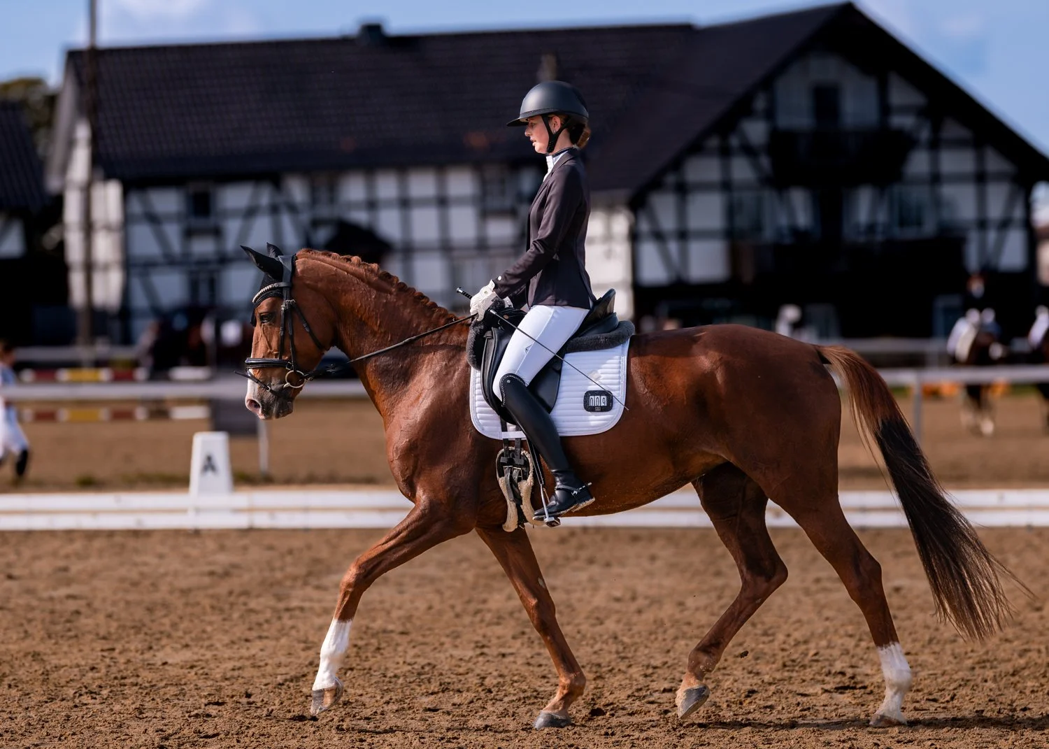 Reiterin in formeller Reitkleidung auf einem braunen Pferd beim Dressurreiten auf einem Reitplatz mit Sandboden, im Hintergrund ein schiefes Fachwerkhaus.
