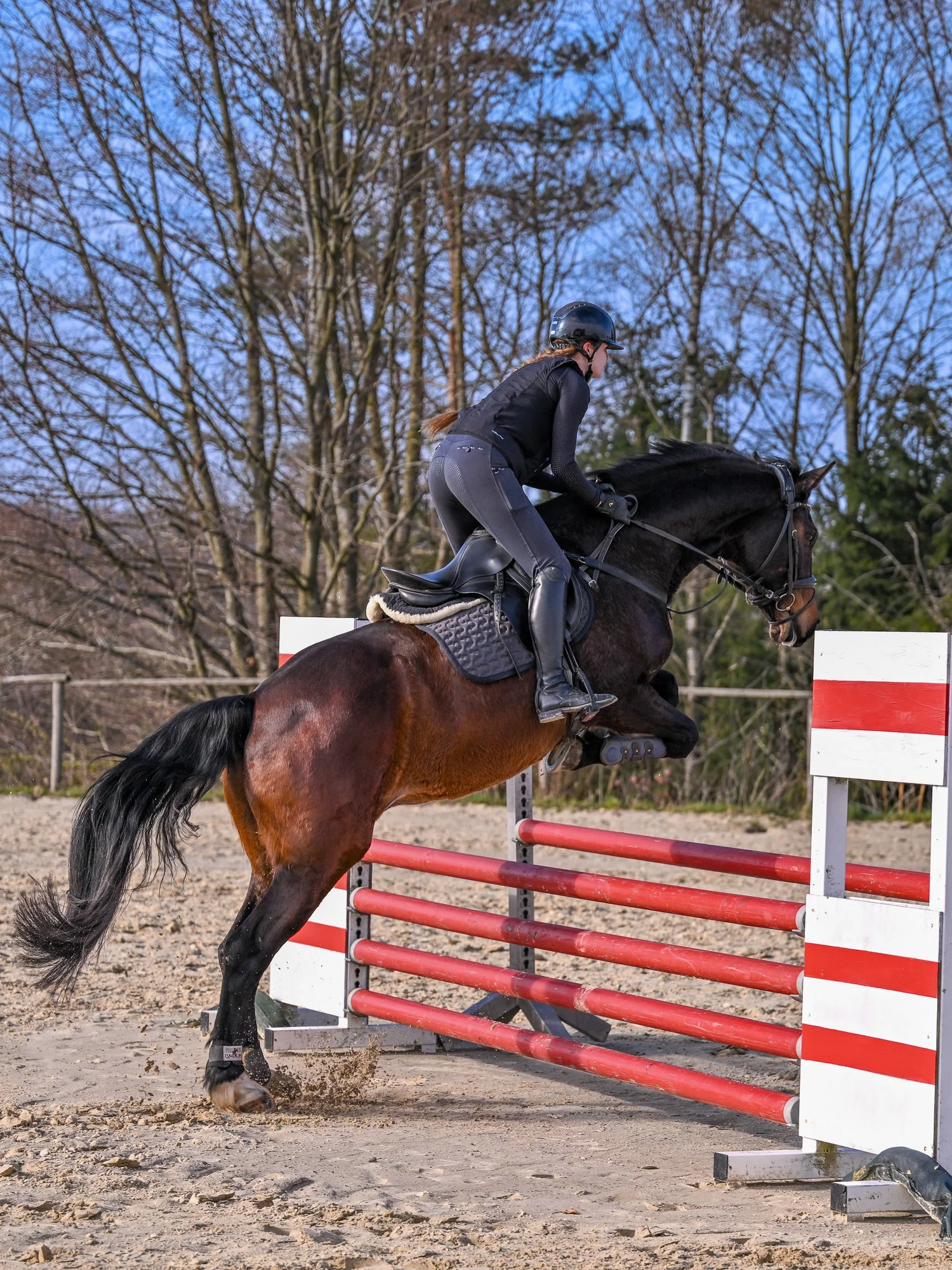 Pferd springt über Hindernis beim Pferdesport, Reiter trägt schwarze Kleidung und Helm, Hintergrund mit Bäumen und blauer Himmel.