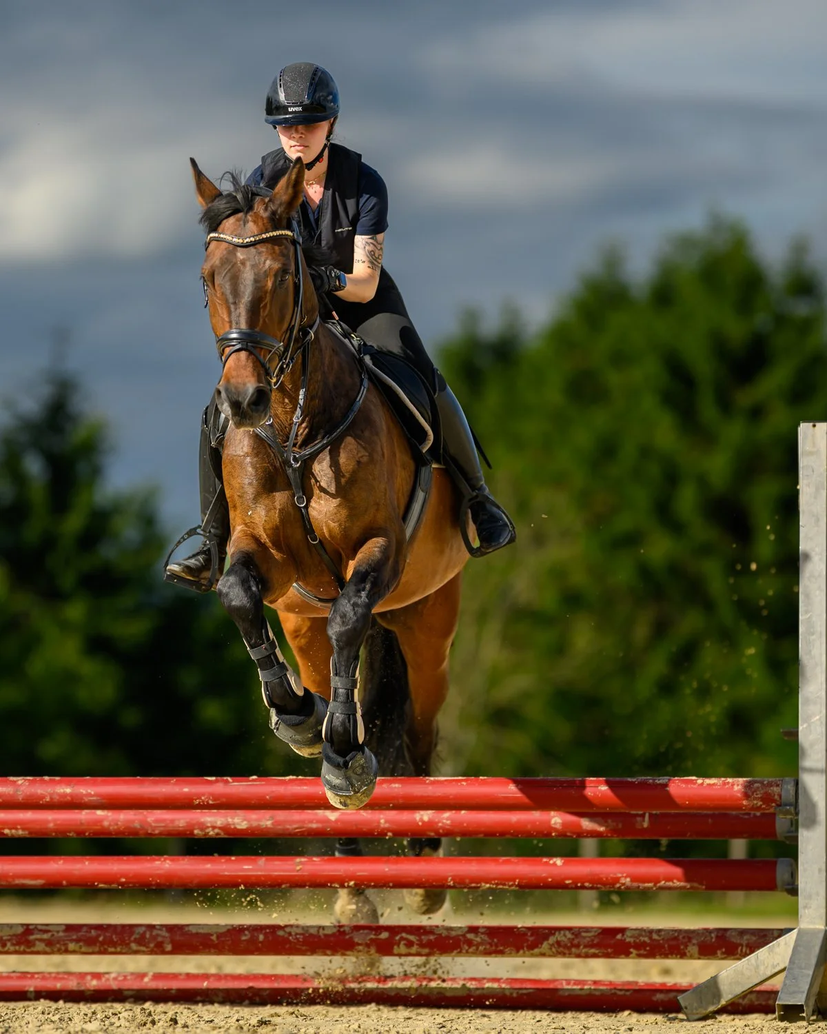 Reiter springt über ein Hindernis bei einem Reitwettbewerb im Freien, dunkler Himmel, grüne Bäume im Hintergrund.