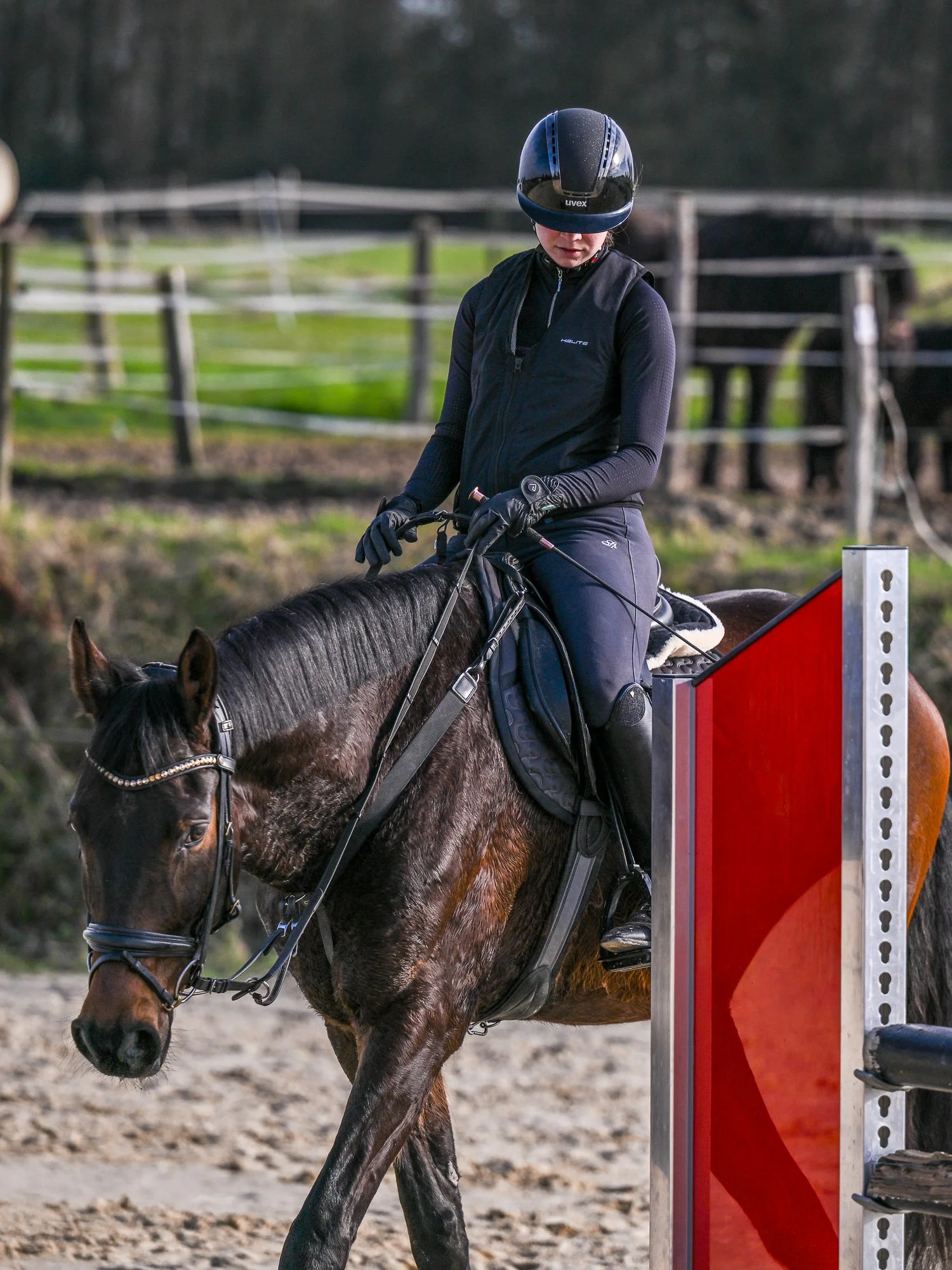 Eine Person reitet auf einem Galopprittpferd und trägt einen schwarzen Reithelm, einen schwarzen Reitweste und Reithosen, während sie eine Sprungbahn in einem Reitstall oder einer Reitschule passierende.