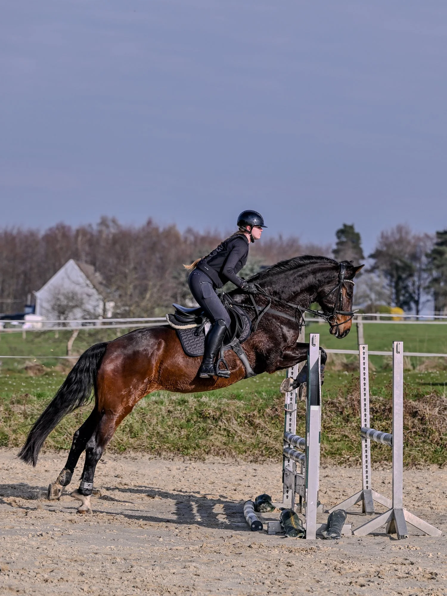 Eine Reiterin springt mit ihrem Pferd über ein Hindernis beim Reittraining im Freien an einem sonnigen Tag.