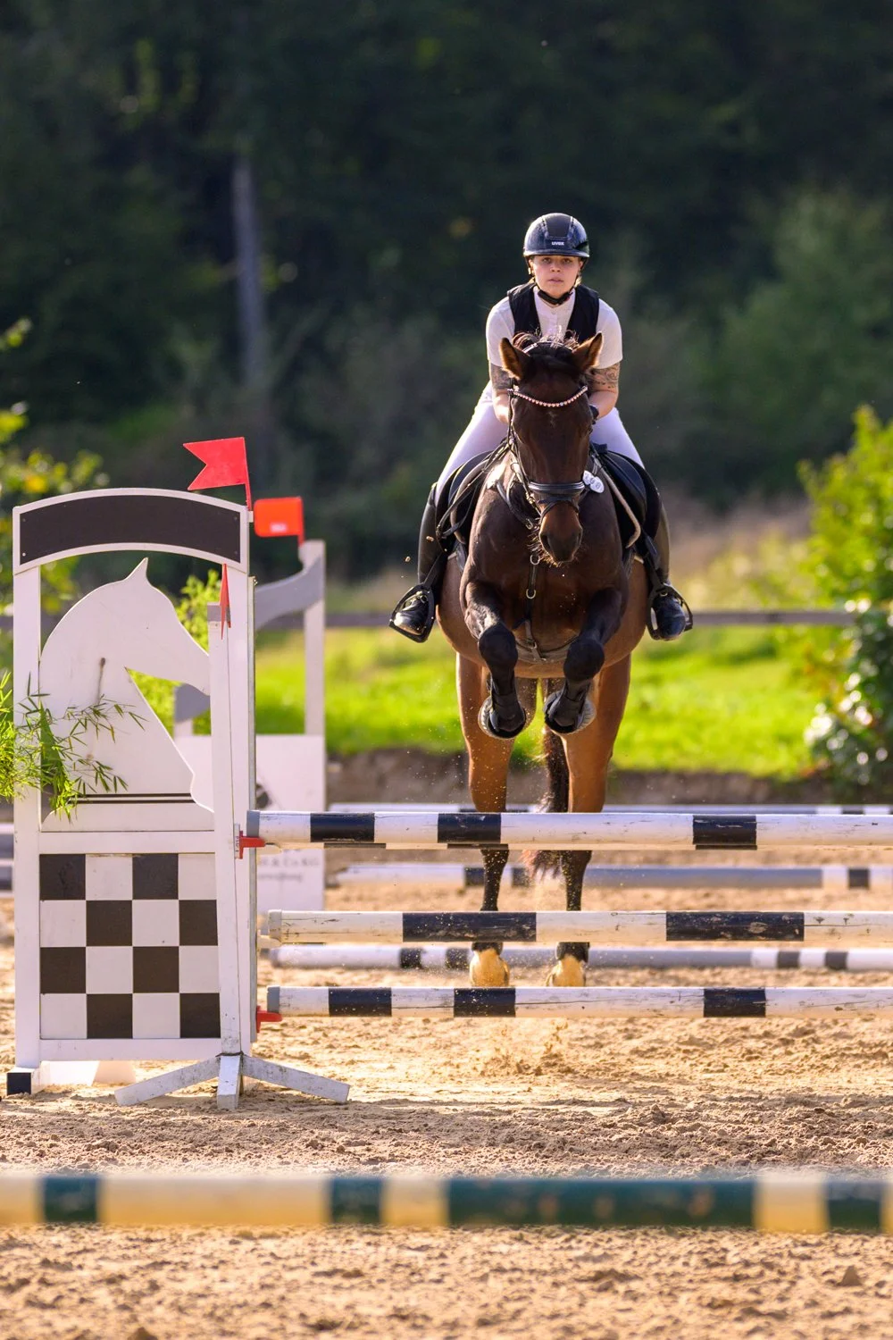 Reiterin springt über einen Springparcours bei einem Reitwettbewerb.