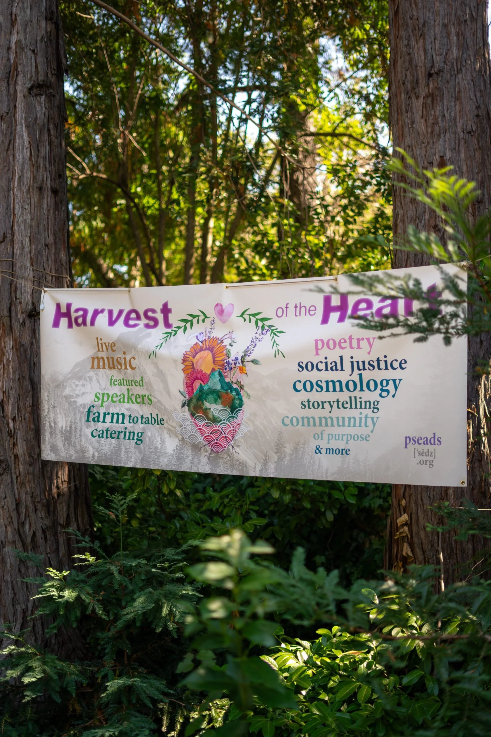 002_Harvest-2_1708x2560.jpg