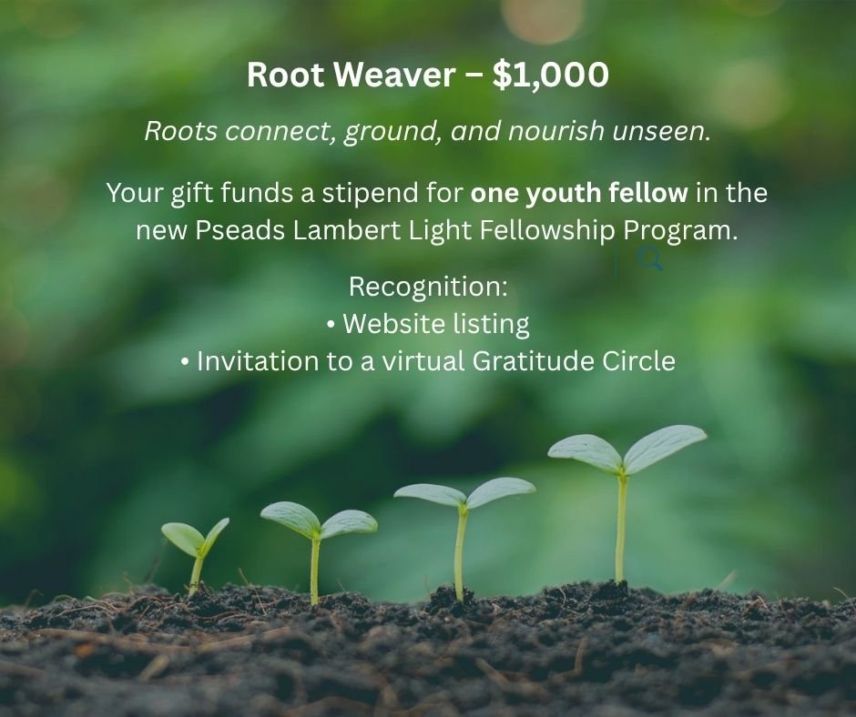 A green background with small plant seedlings growing in soil. Text overlay about Root Weaver fundraising for youth in the Pseads Lambert Light Fellowship Program, highlighting recognition methods like website listing and virtual Gratitude Circle.