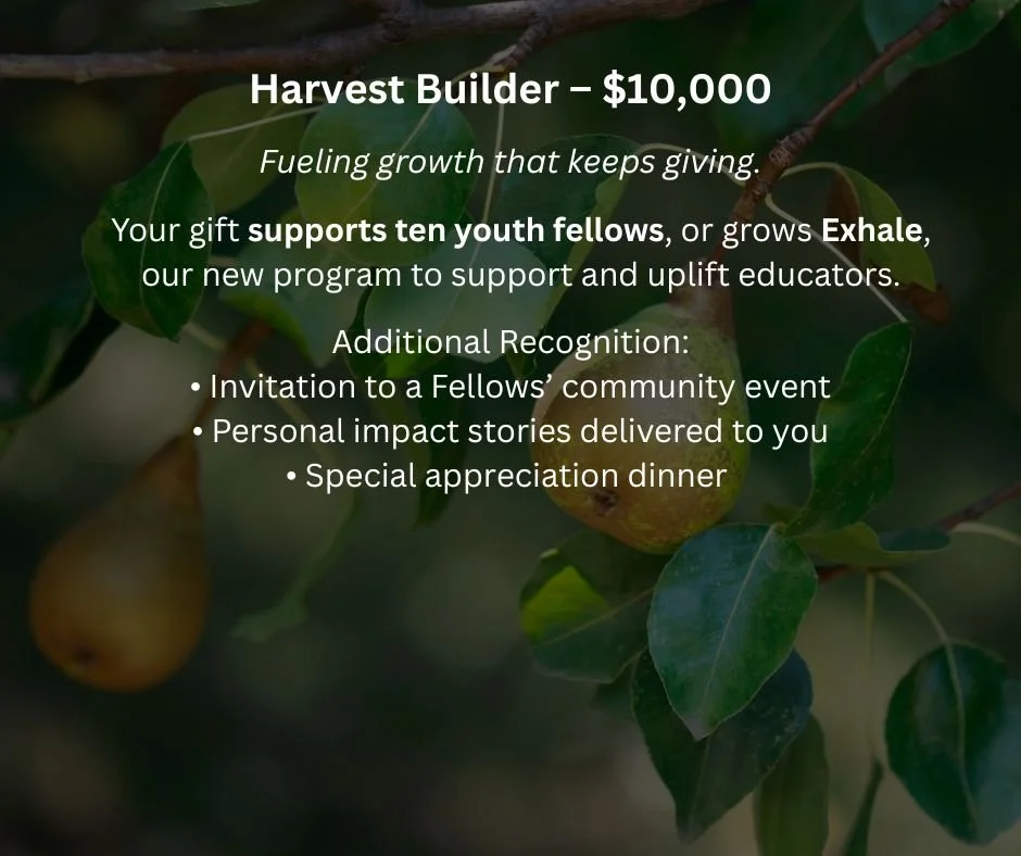 An advertisement for the Harvest Builder donation program featuring pears on a tree with green leaves. It details a $10,000 goal, supports youth education, and mentions additional recognition perks like event invitations and dinner.