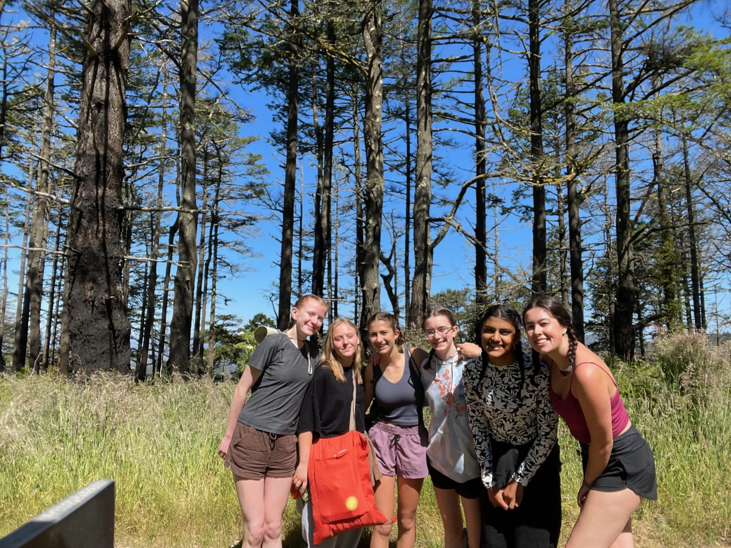 Group of six young women standing outdoors in a grassy area, surrounded by forest with tall trees under a clear blue sky, smiling at the camera.