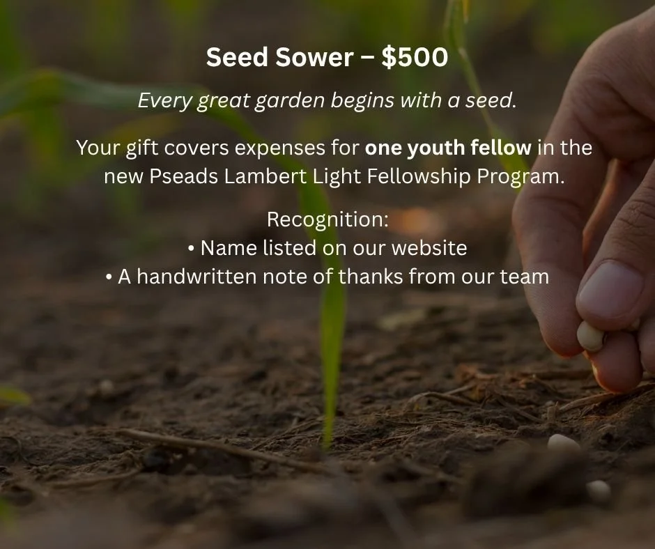 A close-up of a hand planting a seed in the soil, with green plants in the background. Overlaid text about a seed sower donation for a fellowship program.