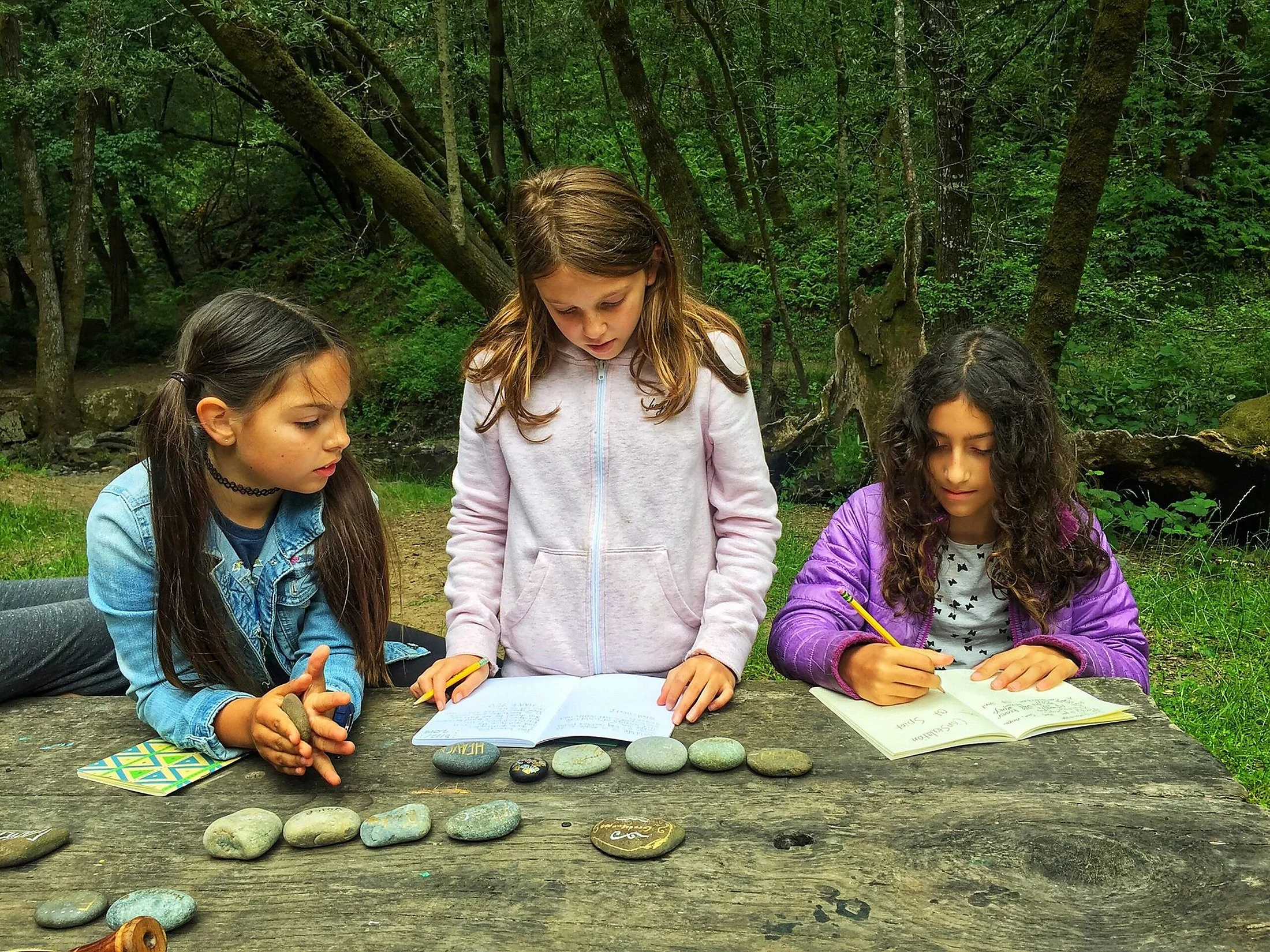 Four young girls gather around a table outdoors in a forested area, writing in notebooks. Rocks are arranged in a line on the table in front of them.