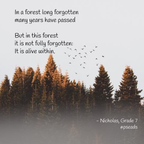 A forest with tall trees and a flock of birds flying above. Overlaid text includes an inspirational quote about the forest and a citation for Nicholas from Grade 7 with the hashtag #pseads.