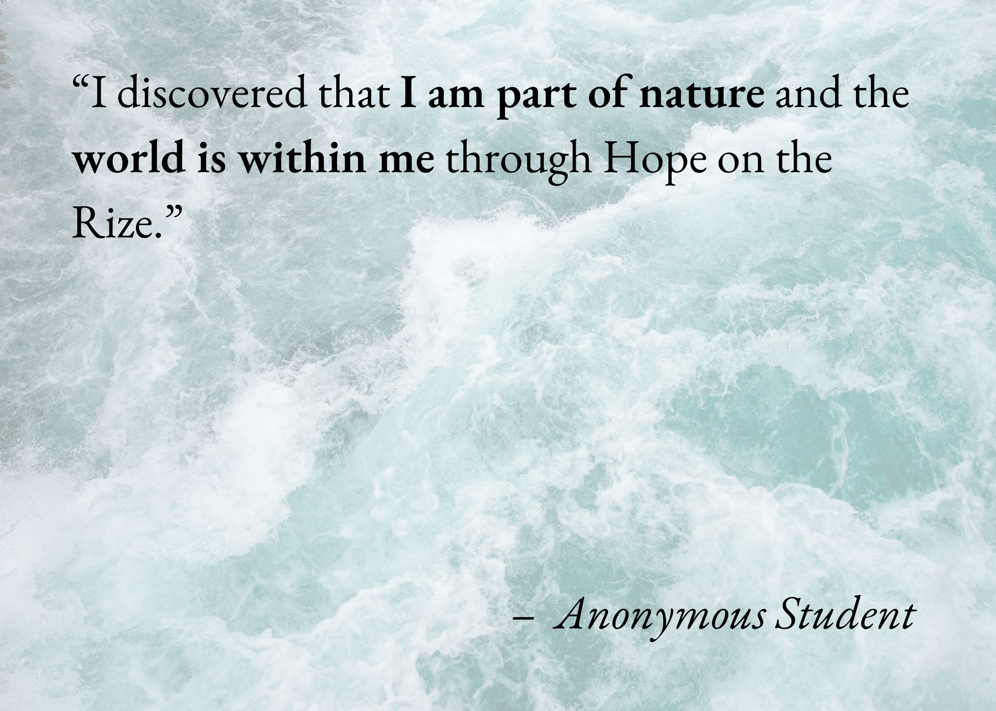 A quote on a background of ocean waves, reading: 'I discovered that I am part of nature and the world is within me through Hope on the Rize.'