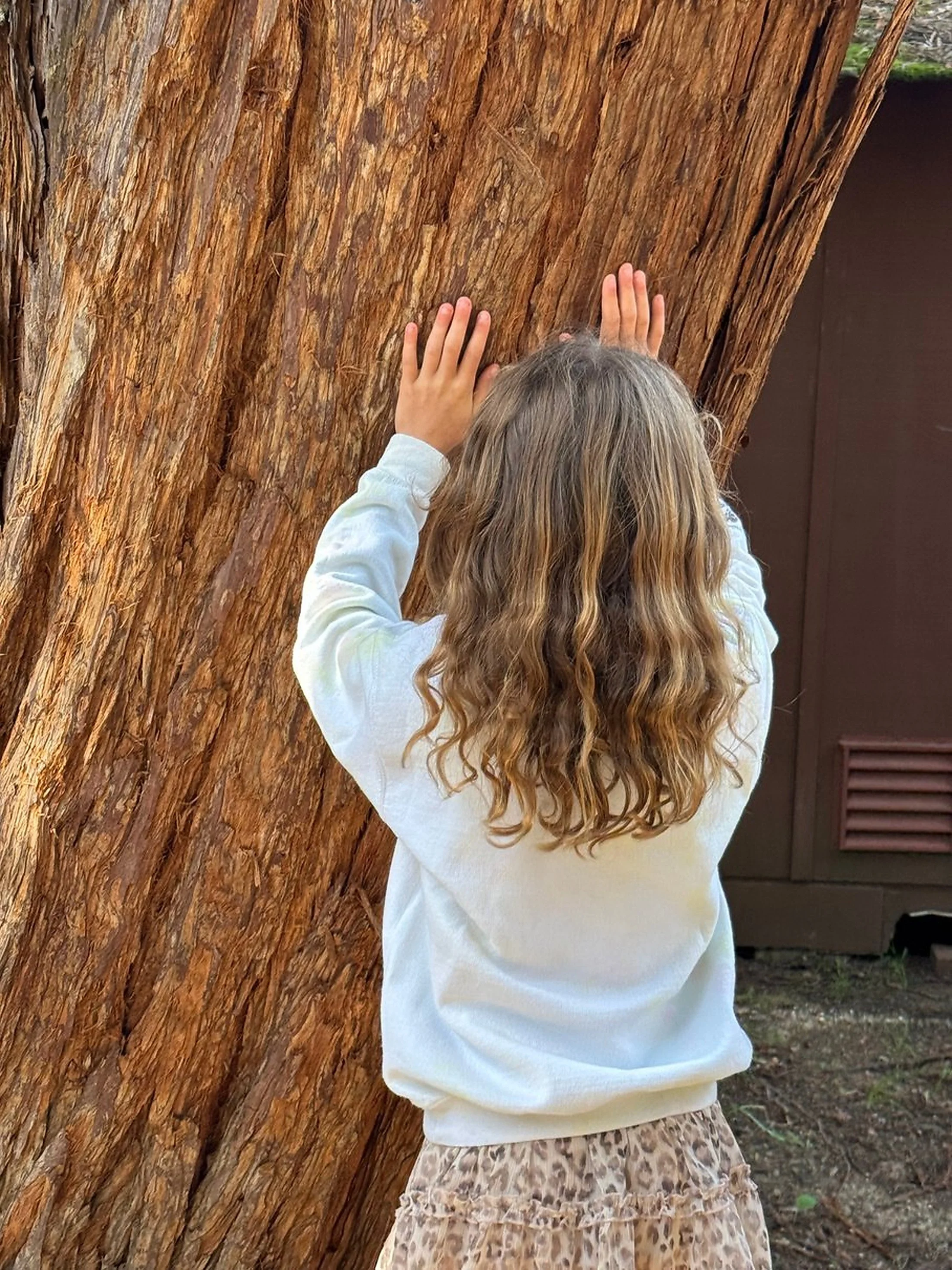 A young girl with long, curly blonde hair facing a large, textured tree trunk outdoors, wearing a white long-sleeve shirt and a beige leopard print skirt.