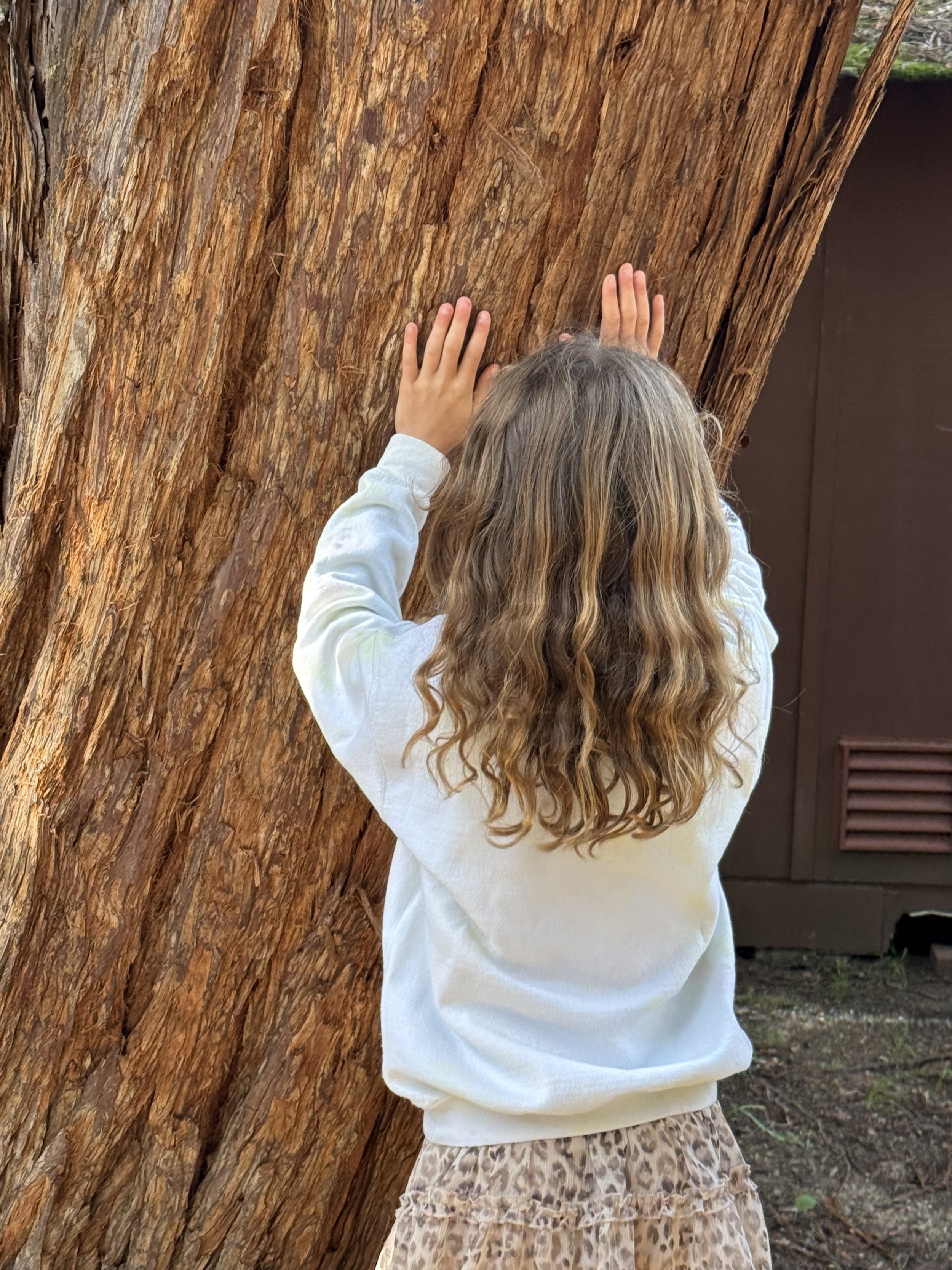 A young girl with long, wavy, light brown hair standing with her back to the camera, touching a large, textured tree trunk with both hands. She is wearing a white long-sleeve shirt and a beige, leopard-print skirt. In the background, there is a small patch of ground and a brown wooden structure.