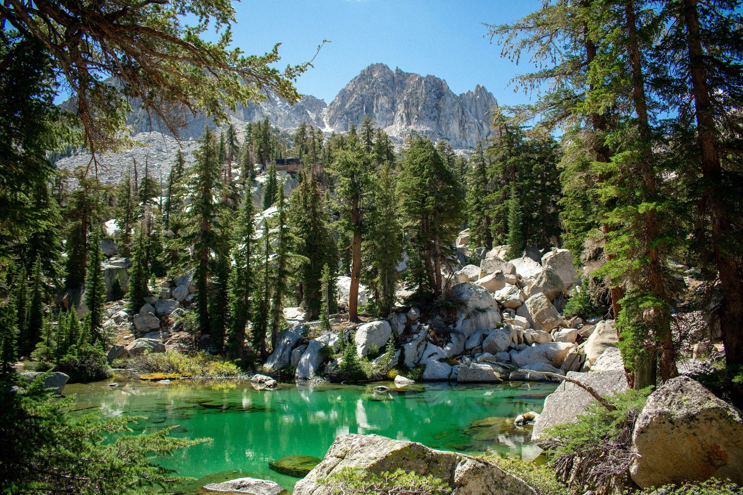 A scenic mountain landscape with a pine forest, rocky terrain, and a small emerald green river in the foreground, with a rugged mountain peak in the background under a clear blue sky.