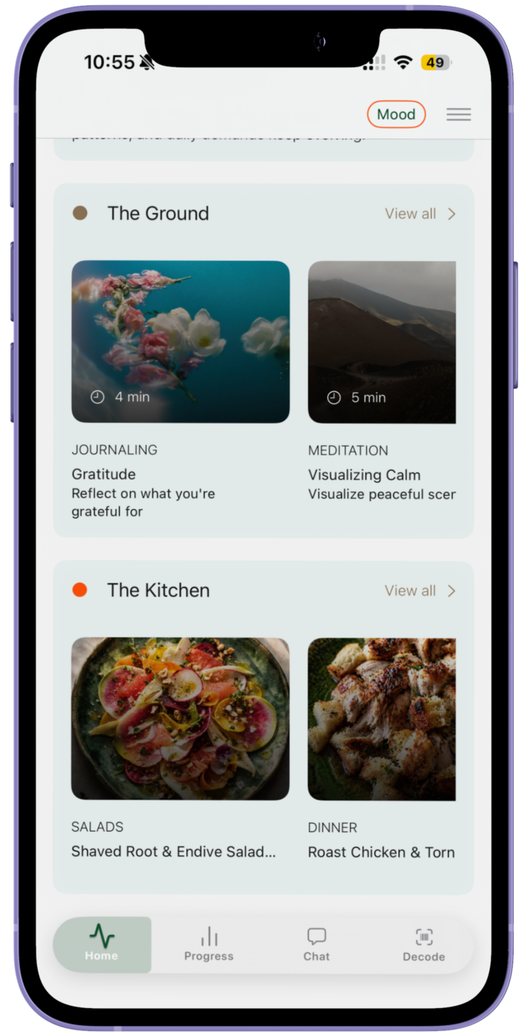 Smartphone screen showing a meal planning app with sections for 'The Ground' and 'The Kitchen'. The 'The Ground' section includes images for journaling and meditation, while 'The Kitchen' features salads and dinner dishes. The bottom navigation bar includes 'Home', 'Progress', 'Chat', and 'Decode' options.