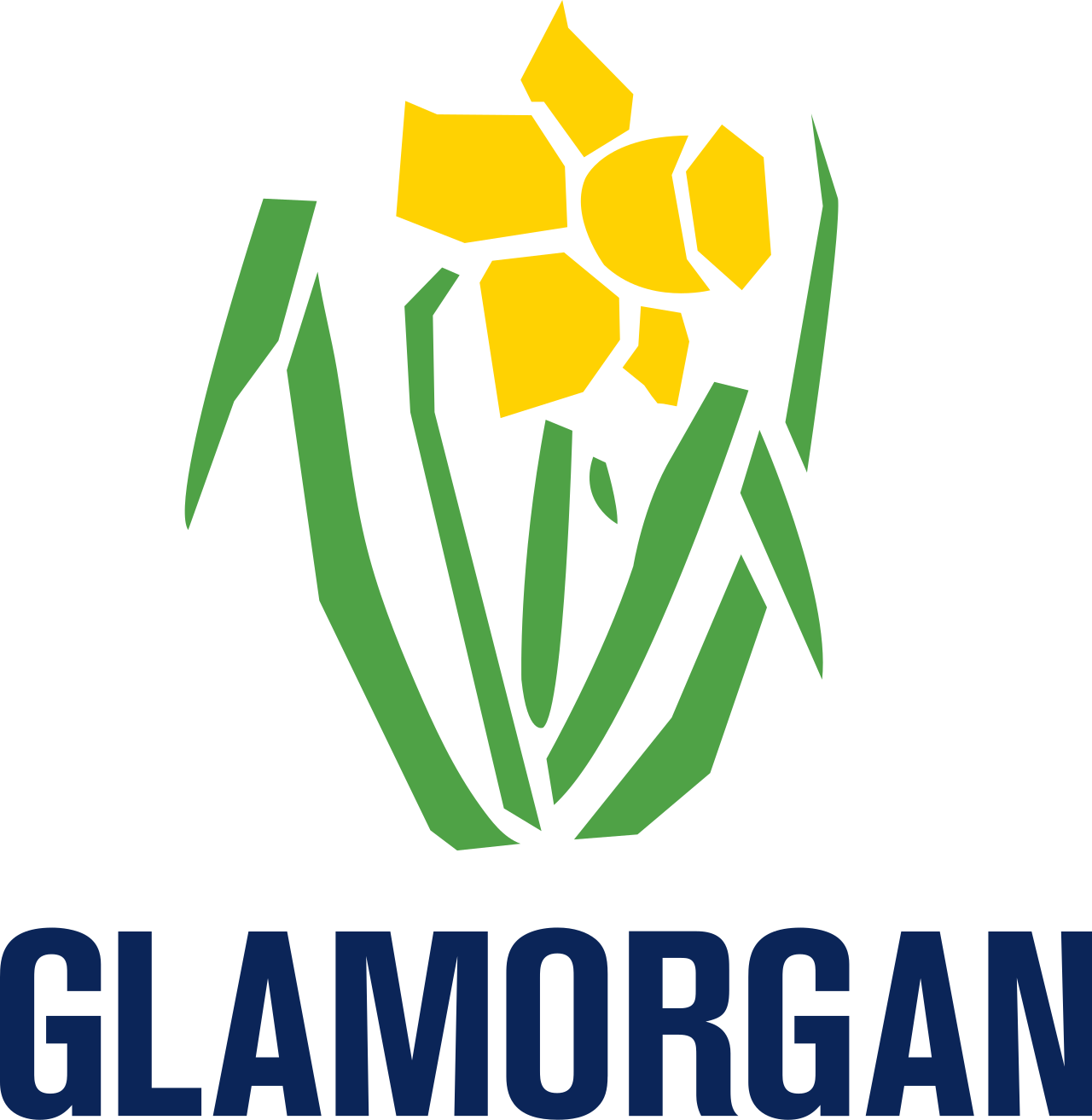Glamorgan Cricket logo — commercial partnership and sponsorship experience