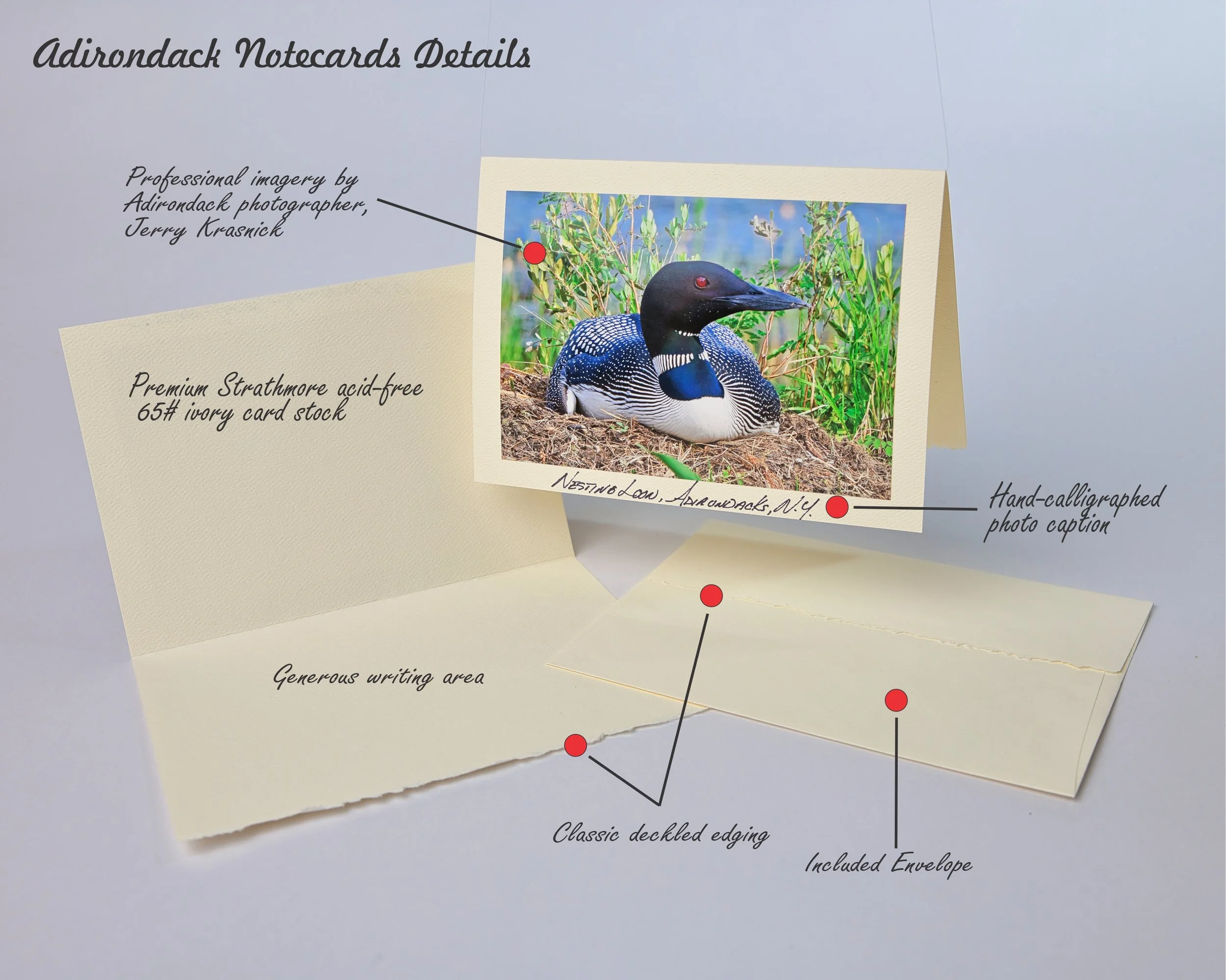 Adirondack Notecards Infographic (red dot).jpg