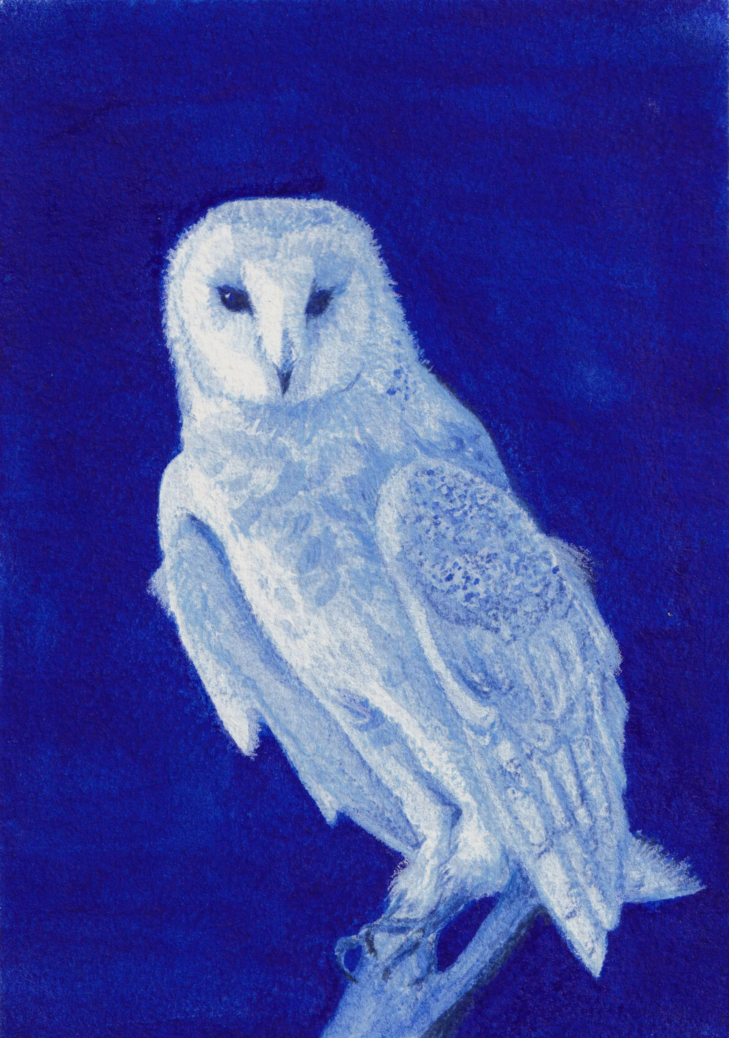 ultramarine blue owl.jpeg