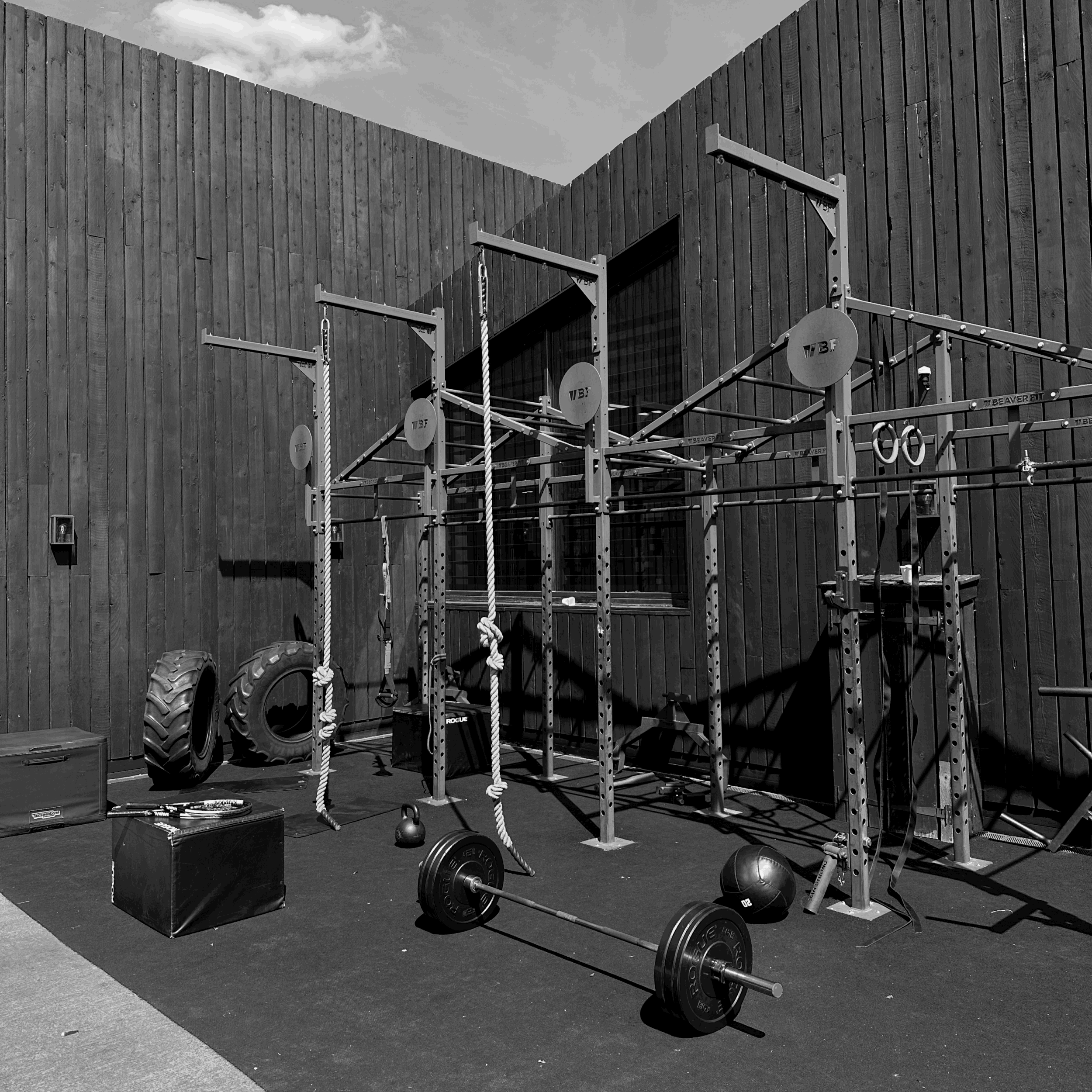 Coaching Plans (Strength & Physique Focus)