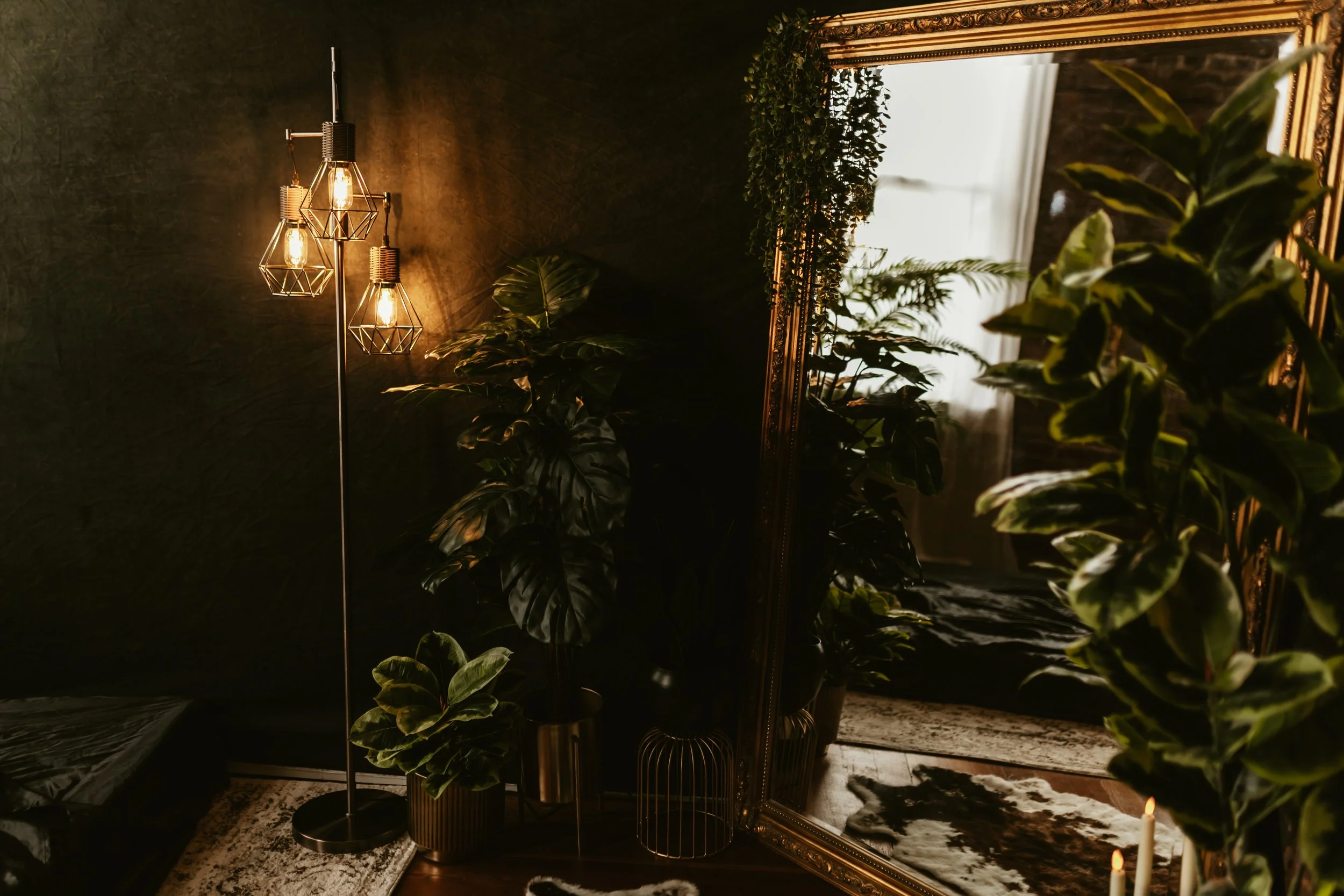 A dark room with a large ornate mirror reflecting a window with curtains, surrounded by green houseplants, and illuminated by a modern floor lamp with multiple exposed filament bulbs.