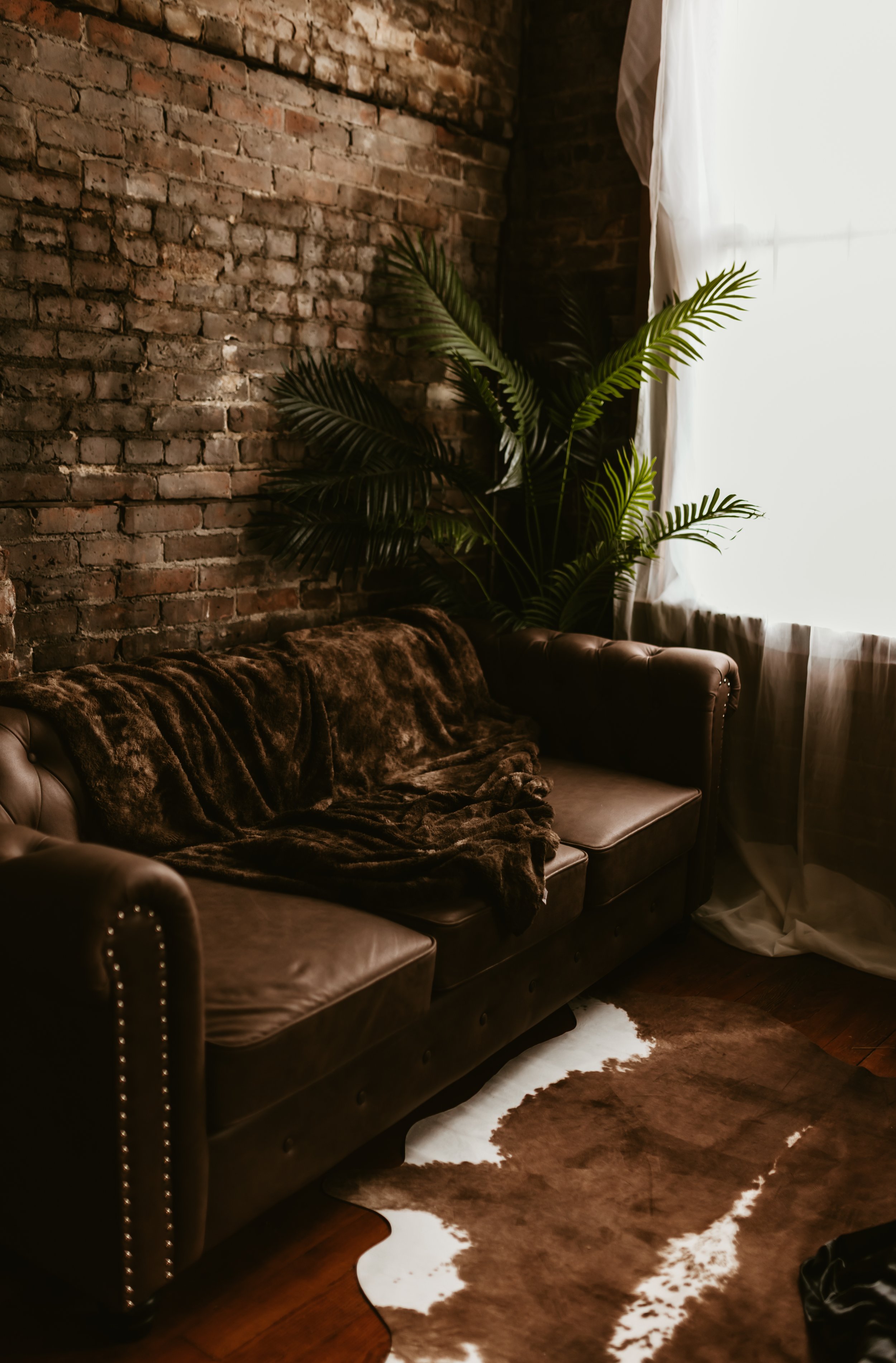 A living room corner with a leather couch covered with a dark brown faux fur throw, a brick wall, a large green potted plant, a window with sheer curtains, and a cowhide rug on a wooden floor.