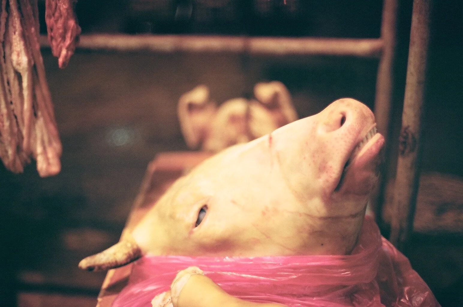 A pig's head resting on a pink plastic sheet, with pork carcasses hanging in the background.